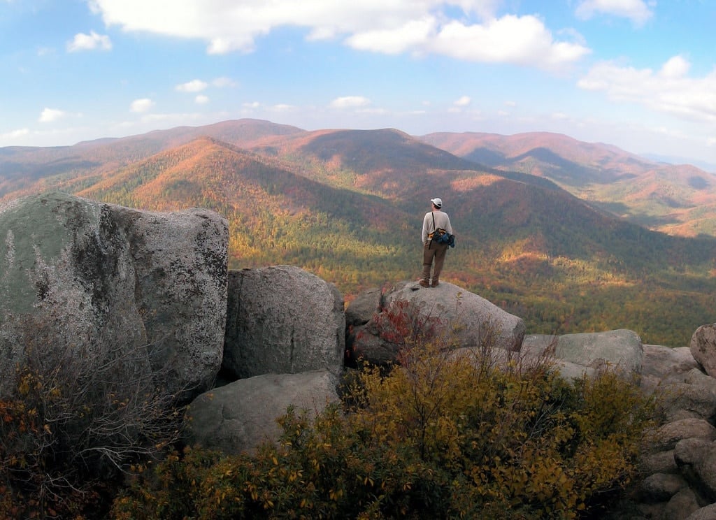 Are dogs allowed in Shenandoah National Park? Learn the trails and campgrounds where dogs are permitted in this blog post.