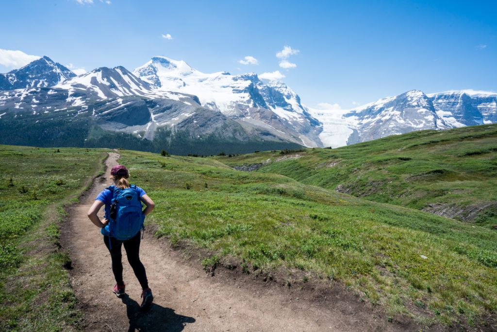 Looking to discover new hiking trails? This blog post has a list of the best hiking apps and websites to help you find local trails.