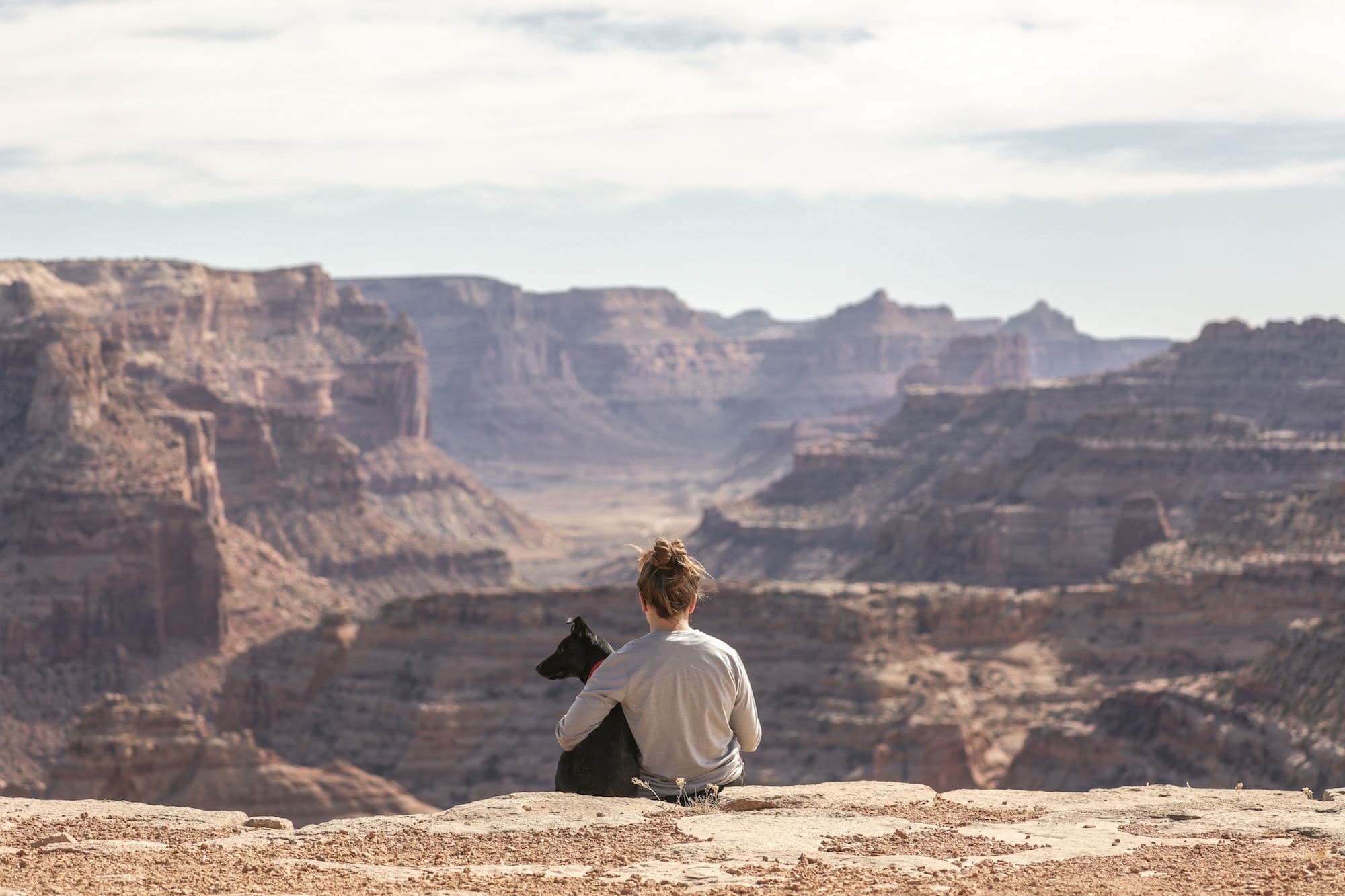 can you drive through a national park with a dog