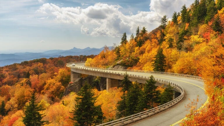 5 Best East Coast Road Trips for Adventure Travelers