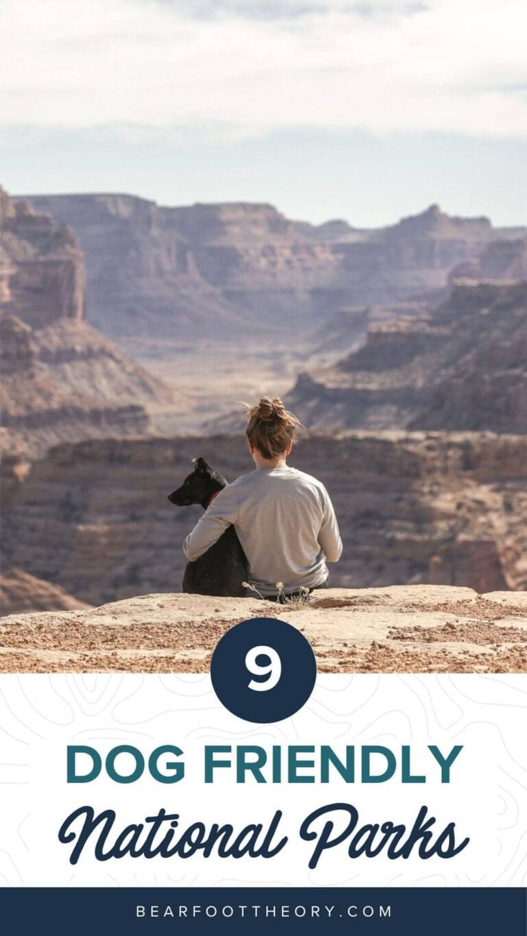 The Most DogFriendly National Parks Bearfoot Theory