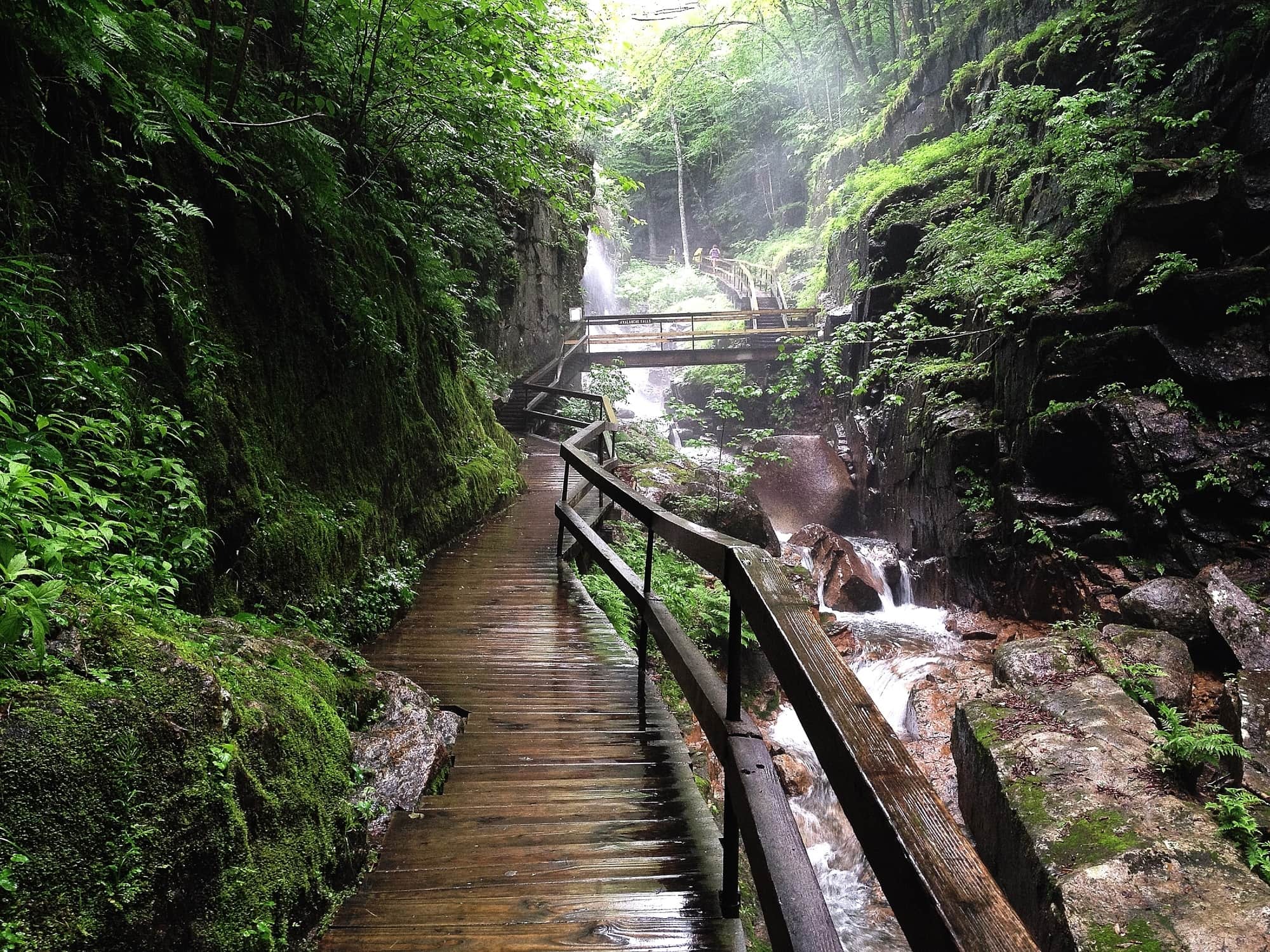 Flume Gorge // Discover the 5 most scenic White Mountains waterfall hikes in New Hampshire including how to get there and what to expect along the trail.