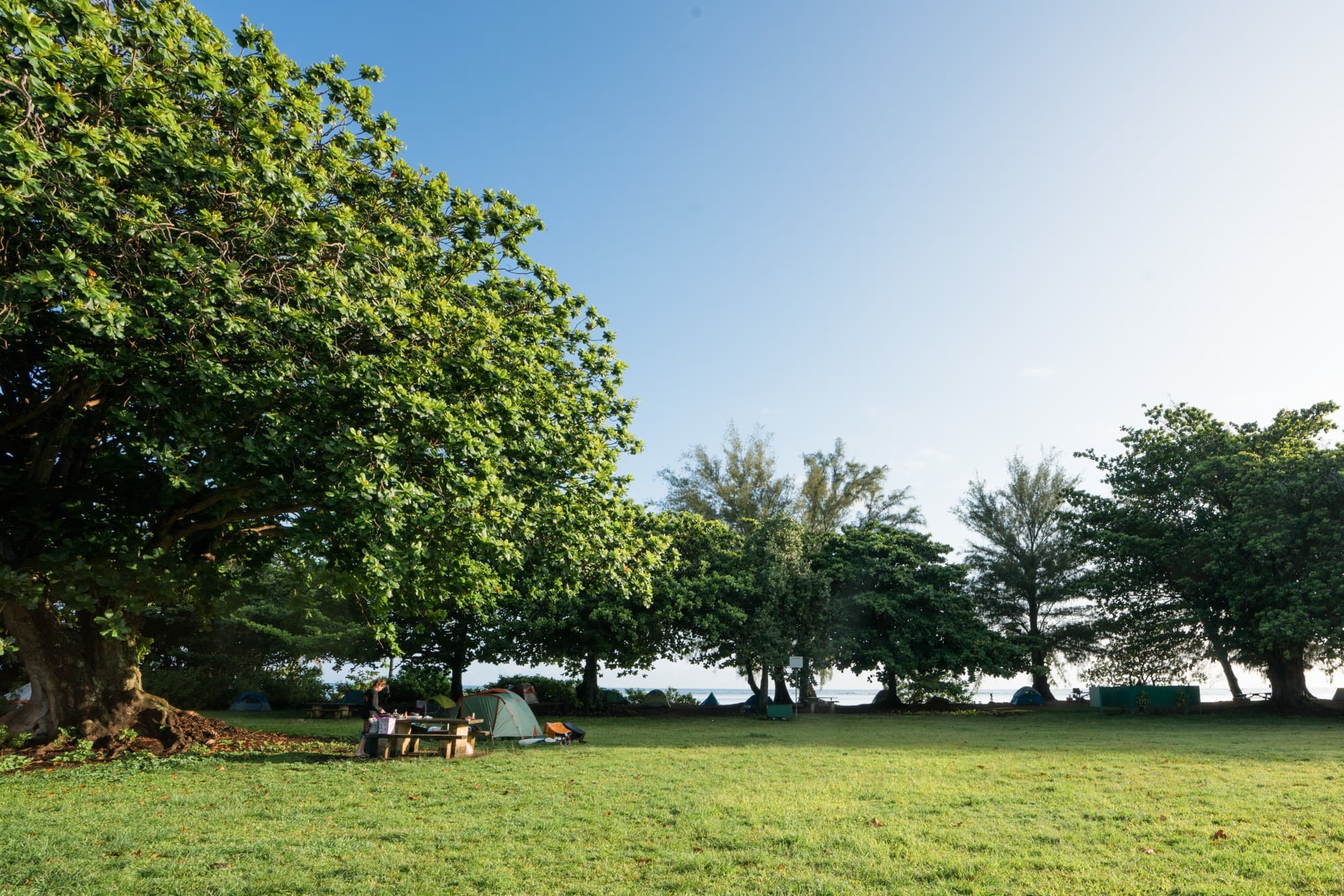 Anini Beach Campground, Kauai