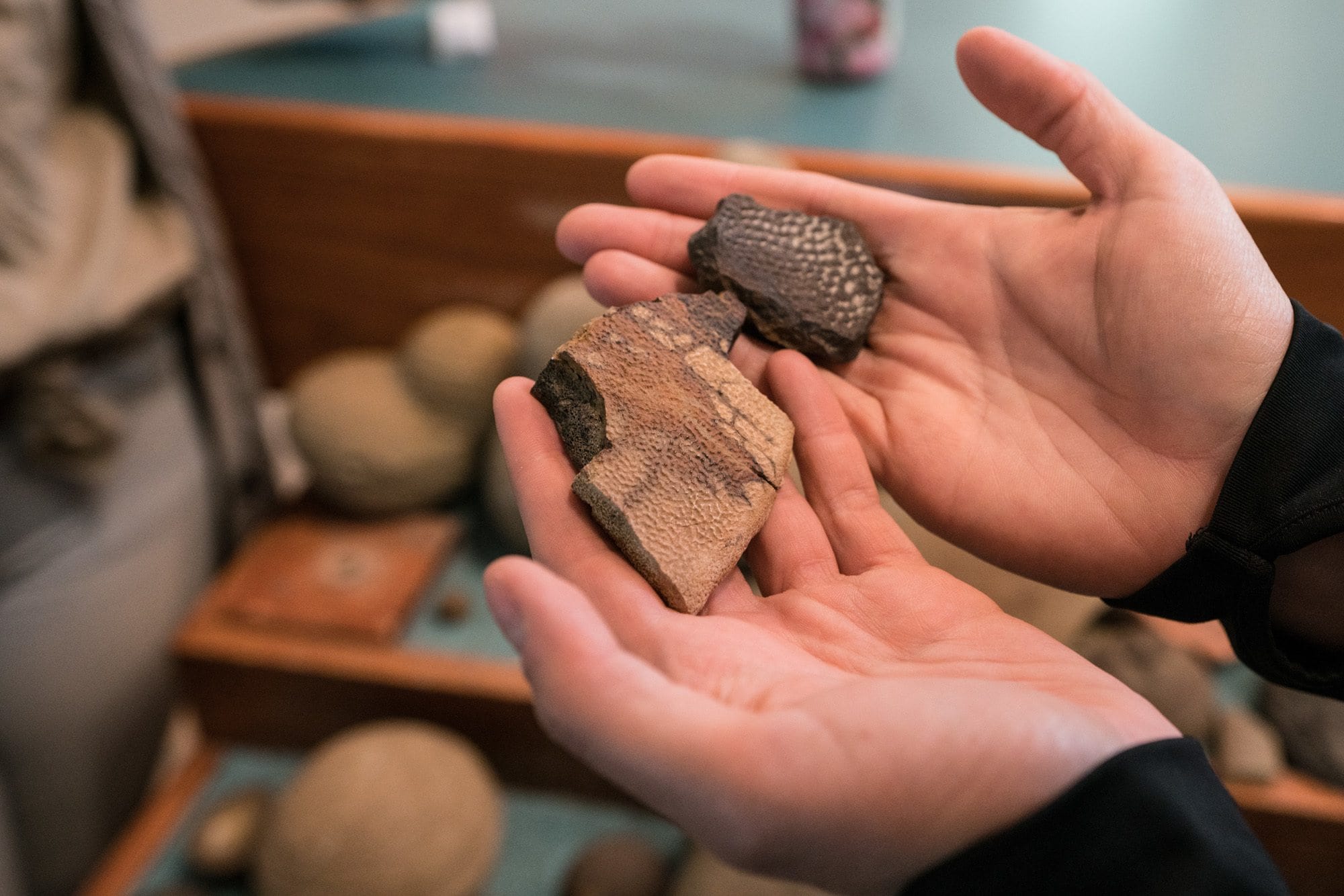 Makoshika State Park Fossils // Explore Southeast Montana with this ultimate 7-day itinerary. Hike through the Badlands, fly fish outside of Billings, Montana, and more!