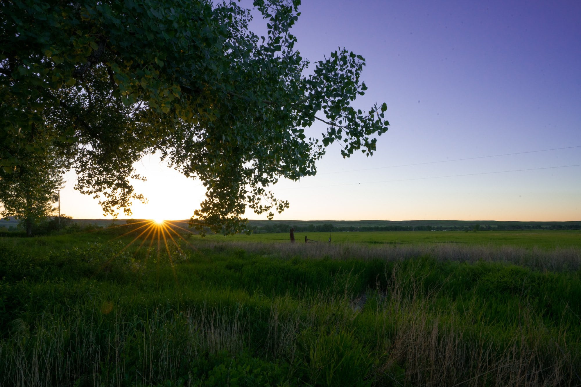 Cottonwood Camp // Explore Southeast Montana with this ultimate 7-day itinerary. Hike through the Badlands, fly fish outside of Billings, Montana, and more!