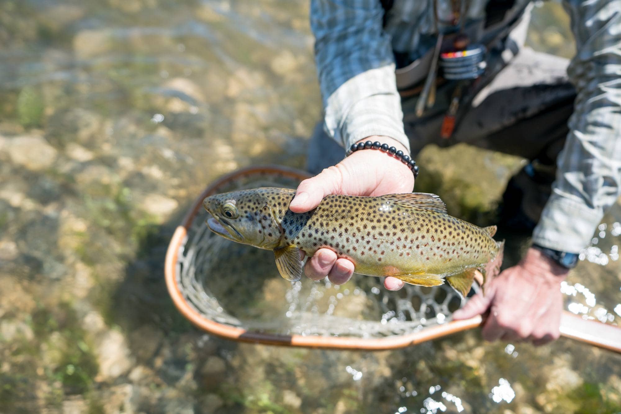 Fly fishing // Explore Southeast Montana with this ultimate 7-day itinerary. Hike through the Badlands, fly fish outside of Billings, Montana, and more!