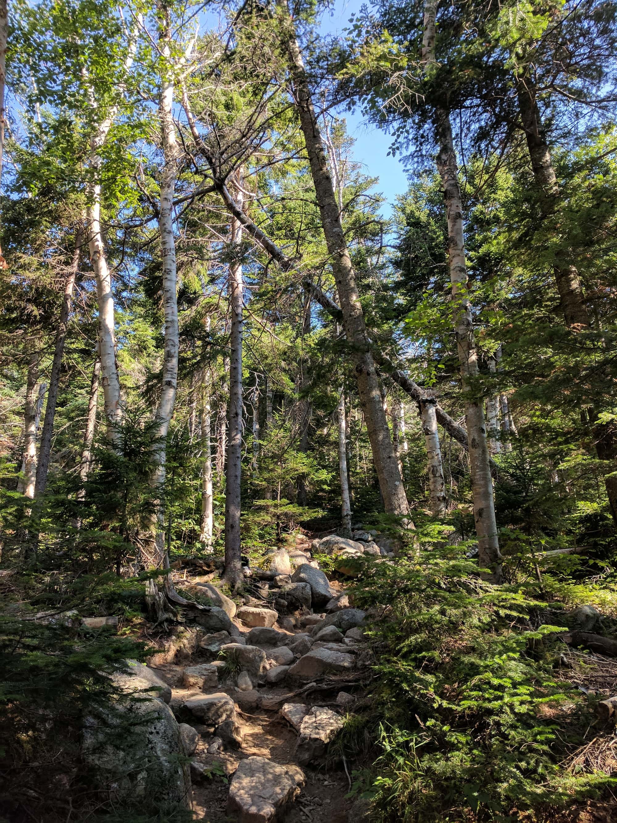 Check out our detailed trail guide to hiking New Hampshire's 8.5 mile Franconia Ridge Loop. We've included when to go, pros and cons of the different directions, and tips for success on this strenuous trek in the White Mountains.