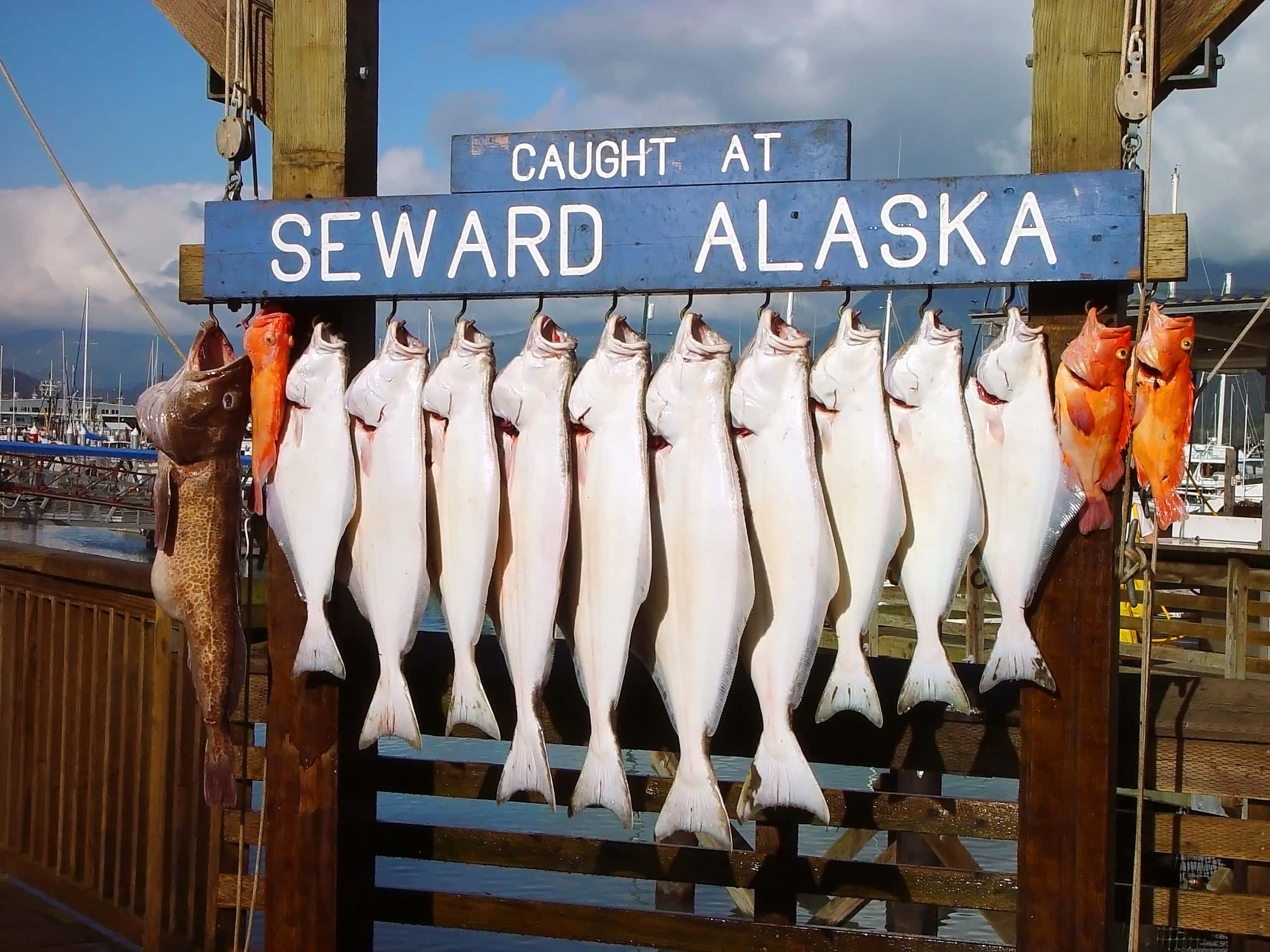 Seward Alaska // This Alaska road trip itinerary will take you through the best of the state including Kenai Fjords & Denali National Park.