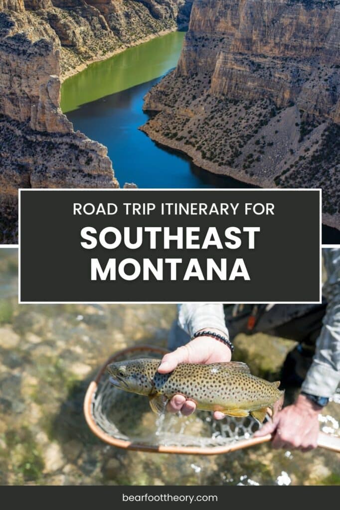 A split image features a scenic view of a river winding through steep canyon walls at the top and a person holding a freshly caught fish over a net in clear water at the bottom. Text overlay reads, "Road Trip Itinerary for Southeast Montana."