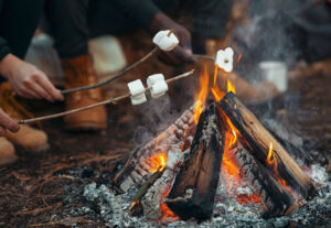Learn how to have a safe campfire and Leave No Trace on your camping trips whether you're toasting s'mores or using a fire to stay warm.