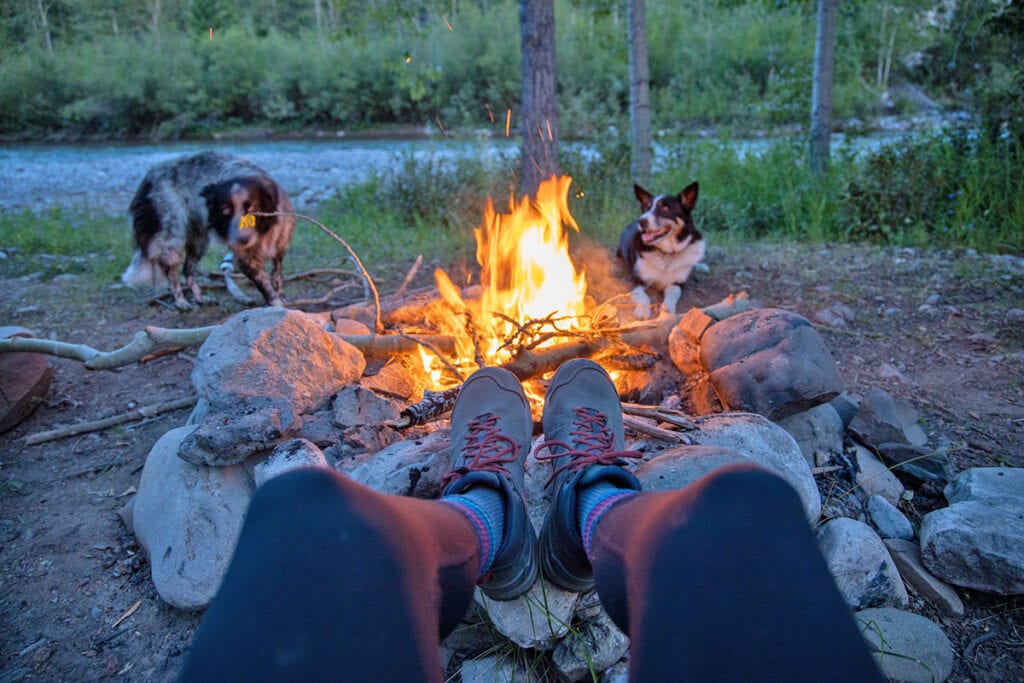 Cozying up by the fire in Montana with two dogs