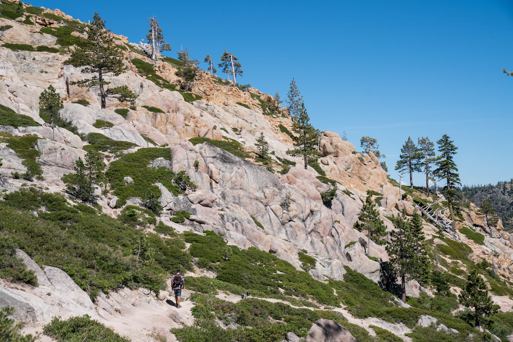 A man hiking the 5 Lakes Basin Trail in Lake Tahoe during summer