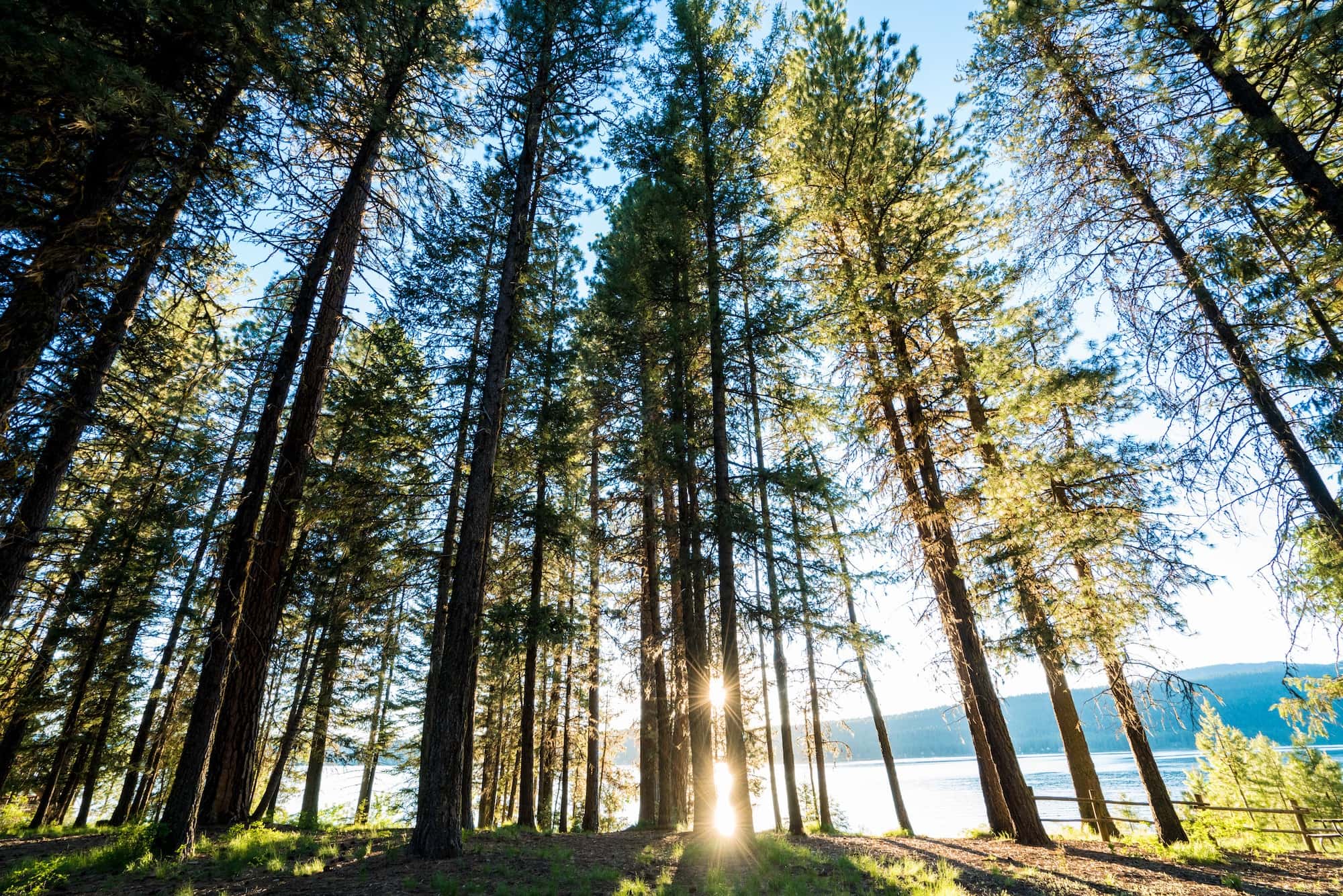 Ponderosa State Park in McCall Idaho