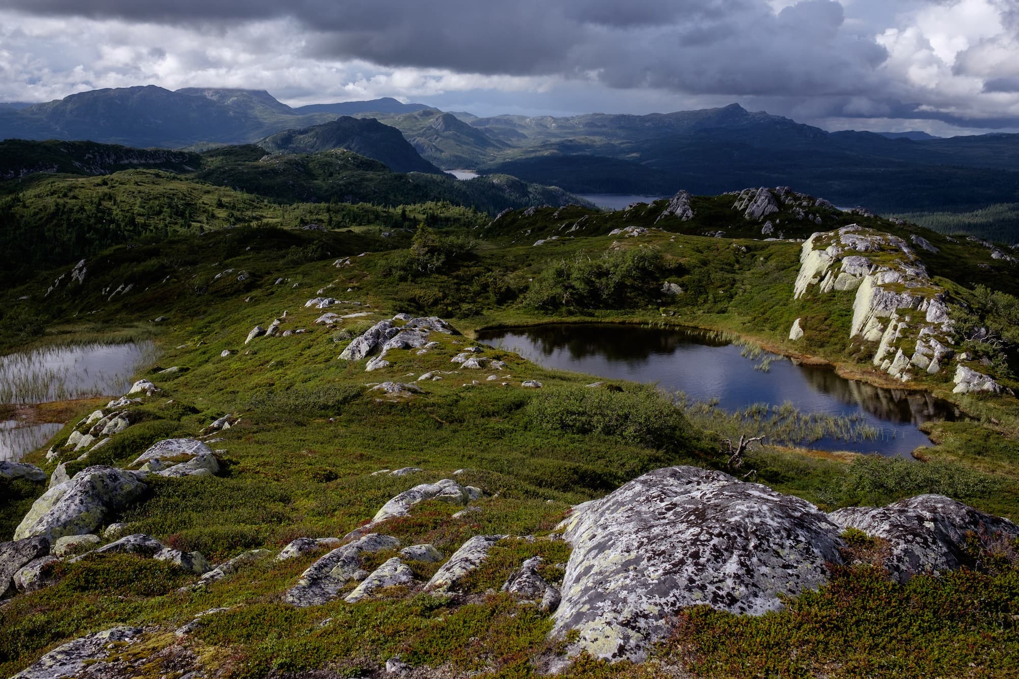 Hardangervidda National Park in Norway