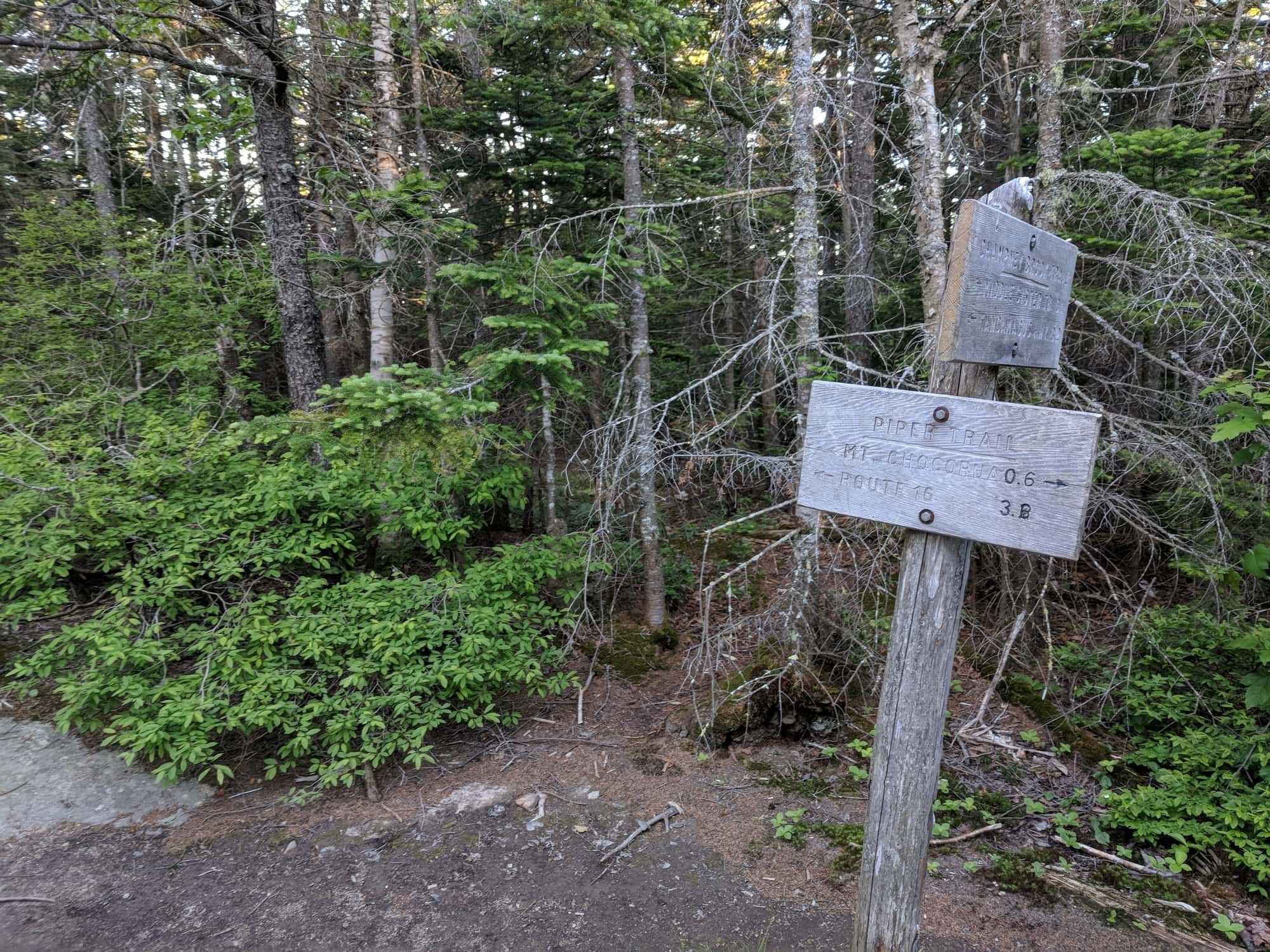 Your guide to backpacking the piper trail and carter ledge loop to Mount Chocorua in the White Mountains of New Hampshire.