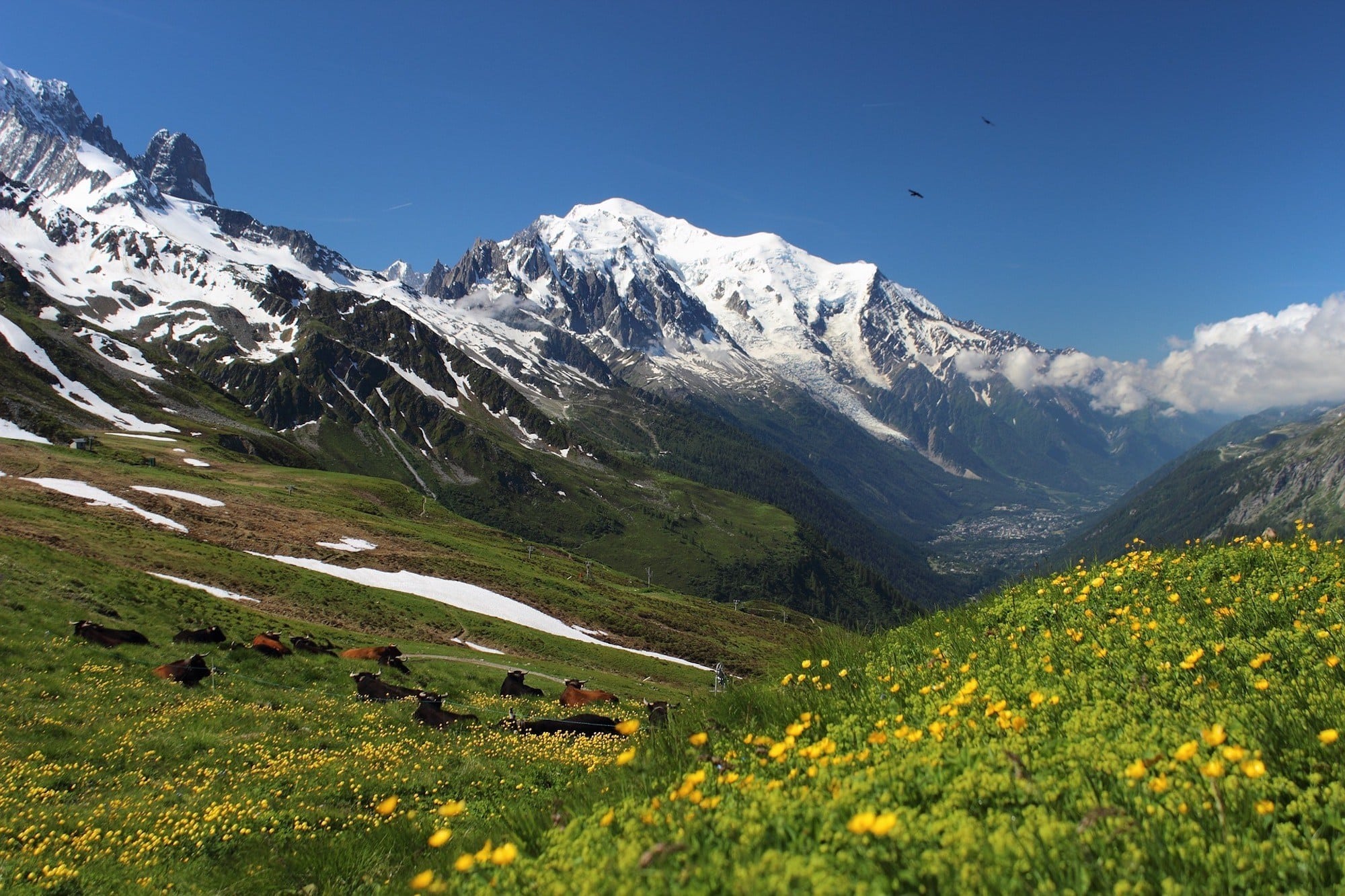 Tour du Mont Blanc in the Alps