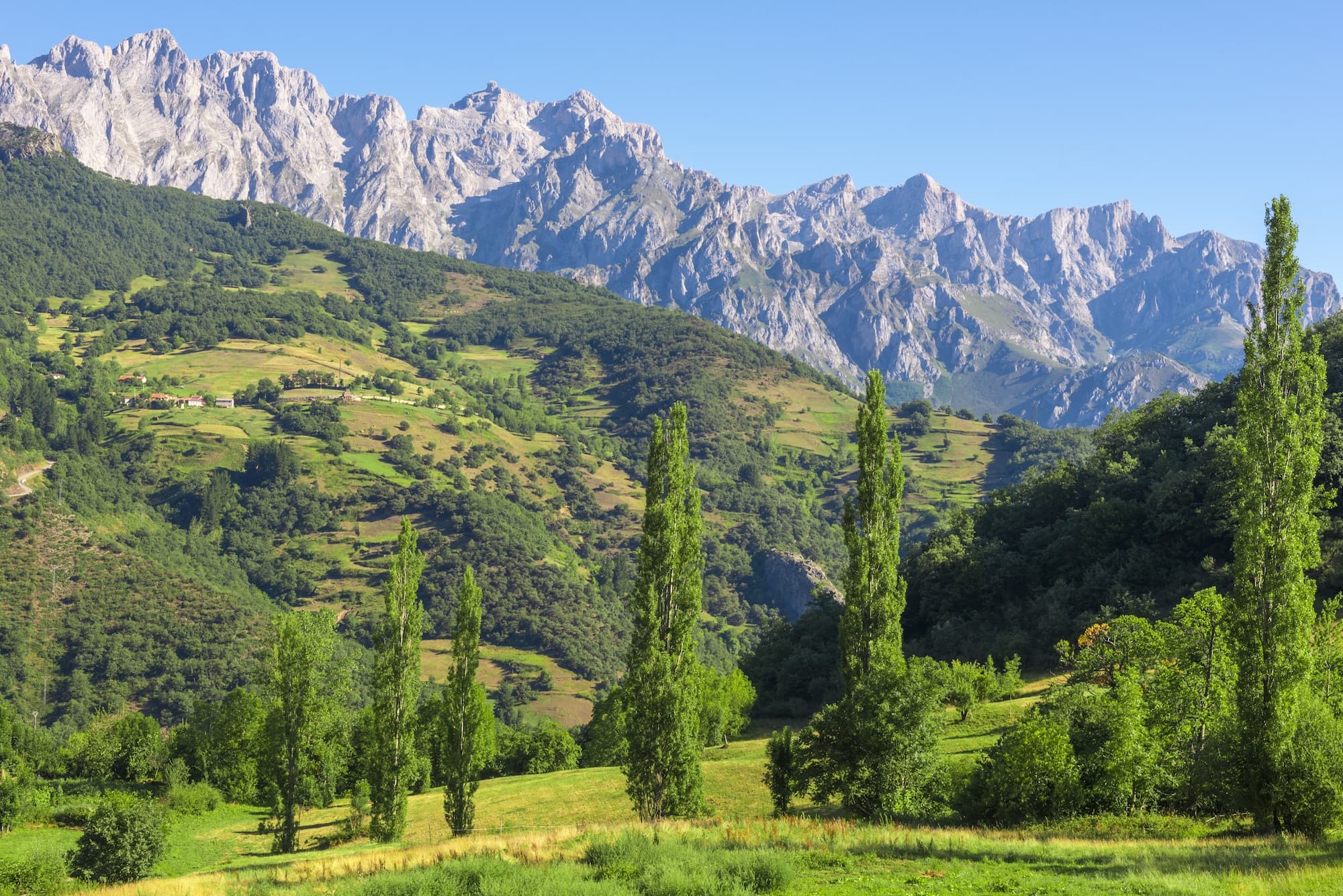 Picos de Europa National Park in Spain