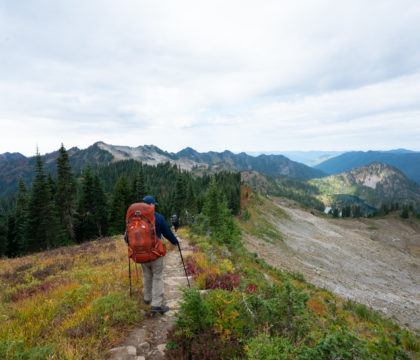 bear proof bolsa for backpacking