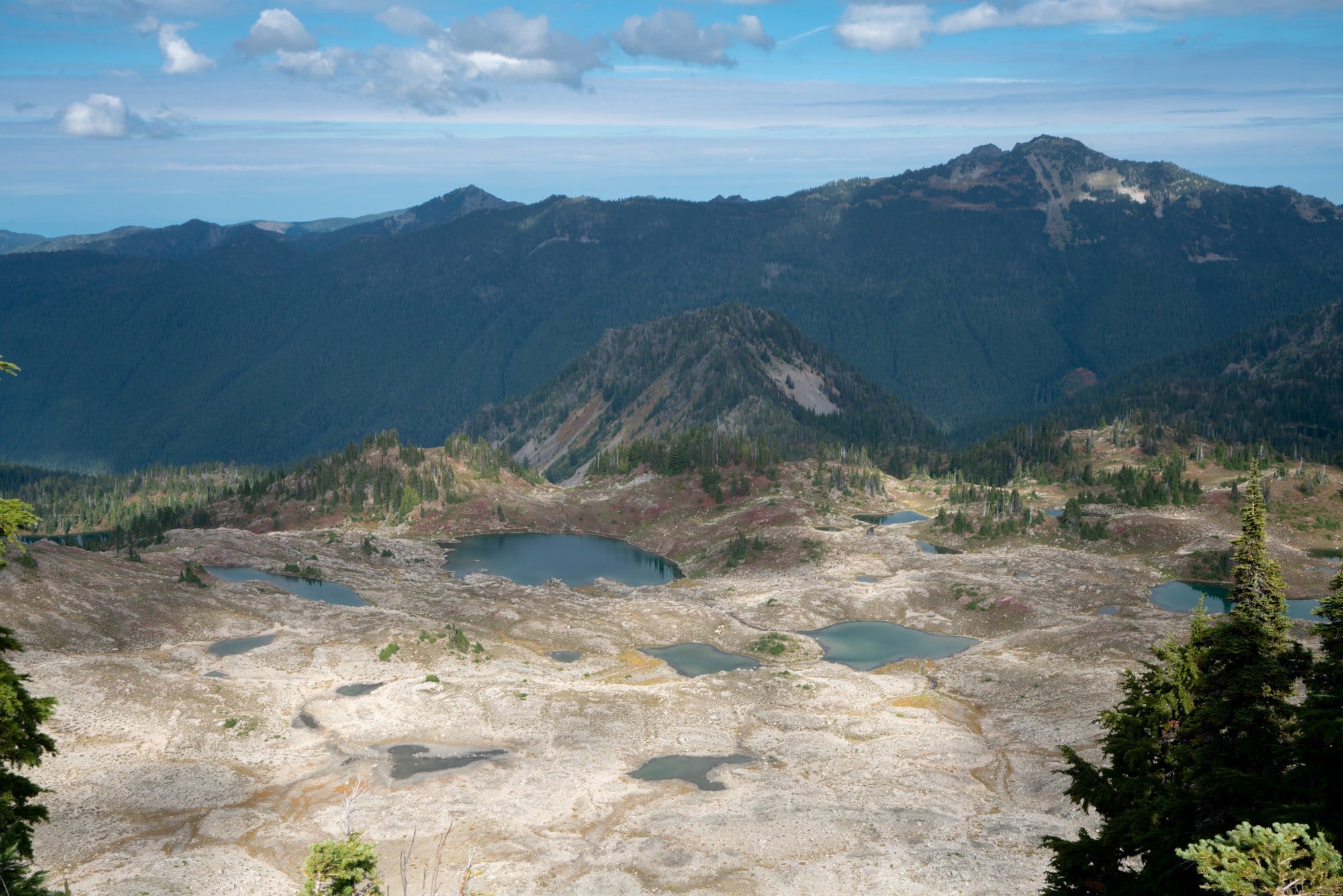 Views out over Seven Lakes Basin on the Olympic Peninsula in Washington