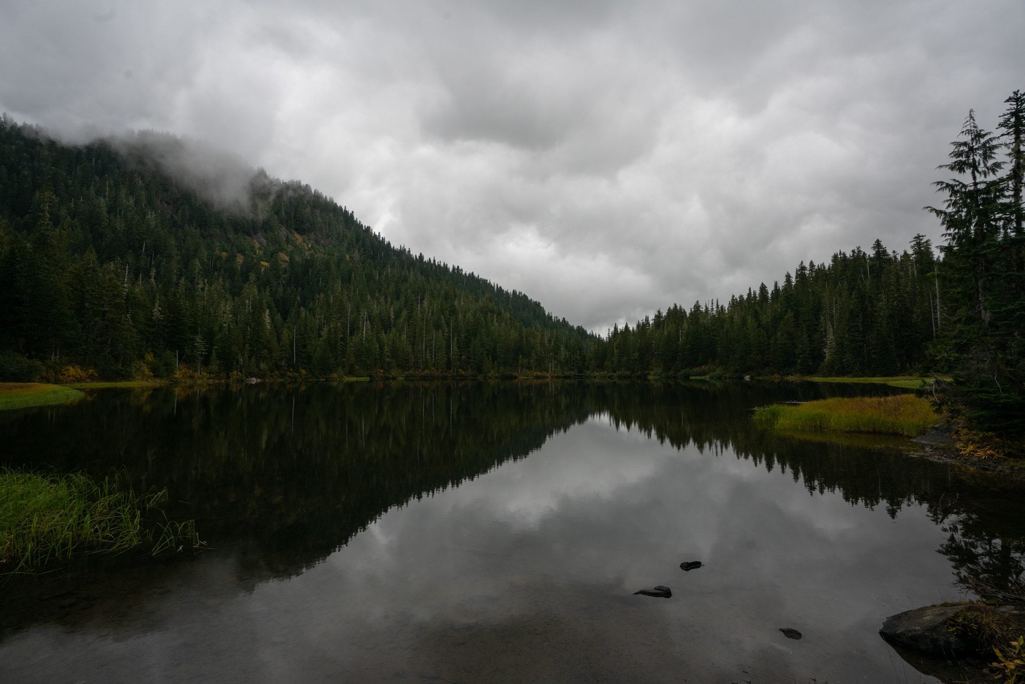 Photo out over lake surrounded by fir trees with clouds overhead