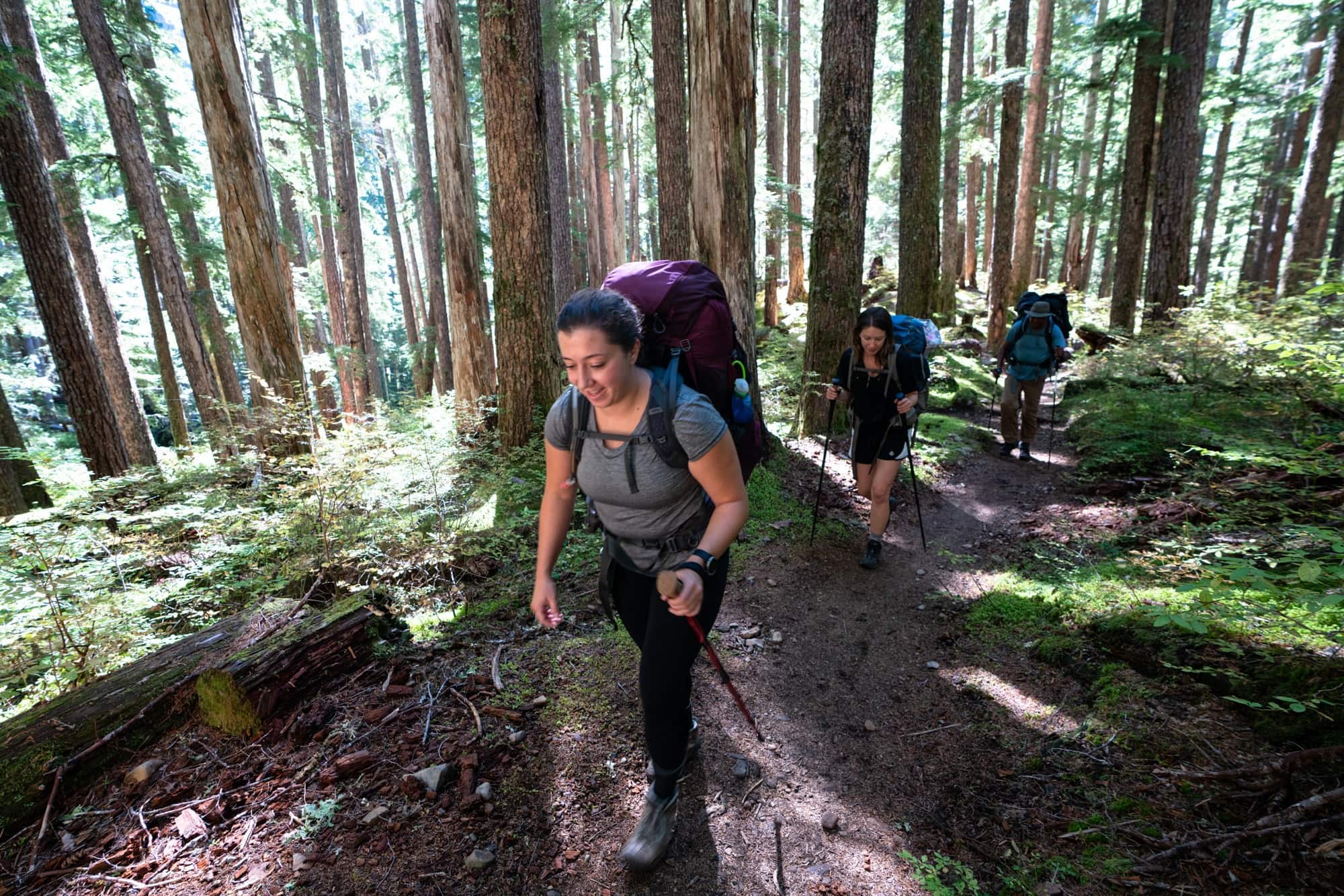 Backpackers on trail through PNW forest on the Olympic Peninsula