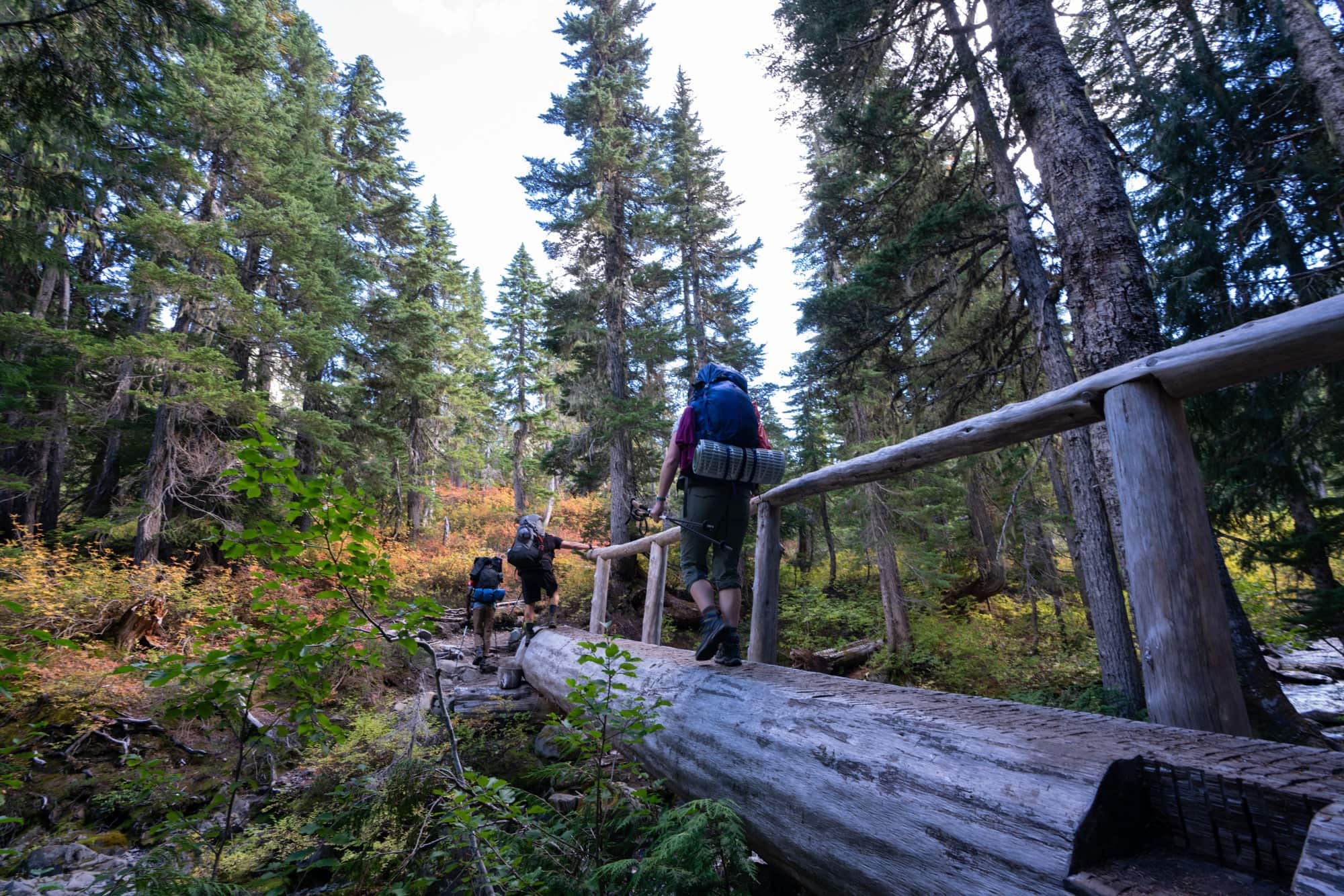 Backpacker crossing log bridge on High Divide Trail in Olympic National Park