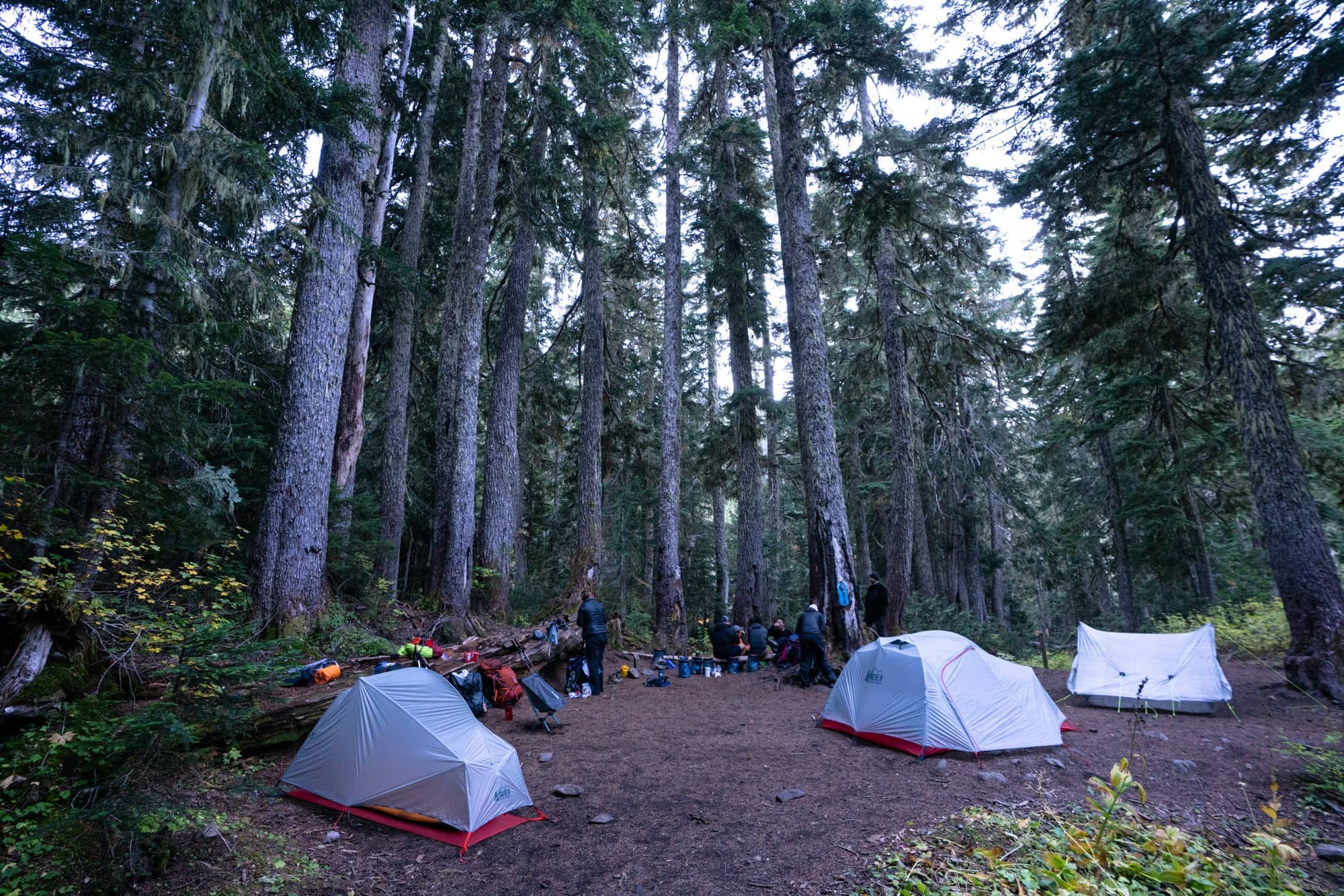 Tents set up a backcountry campground on the High Divide Trail in Olympic National Park