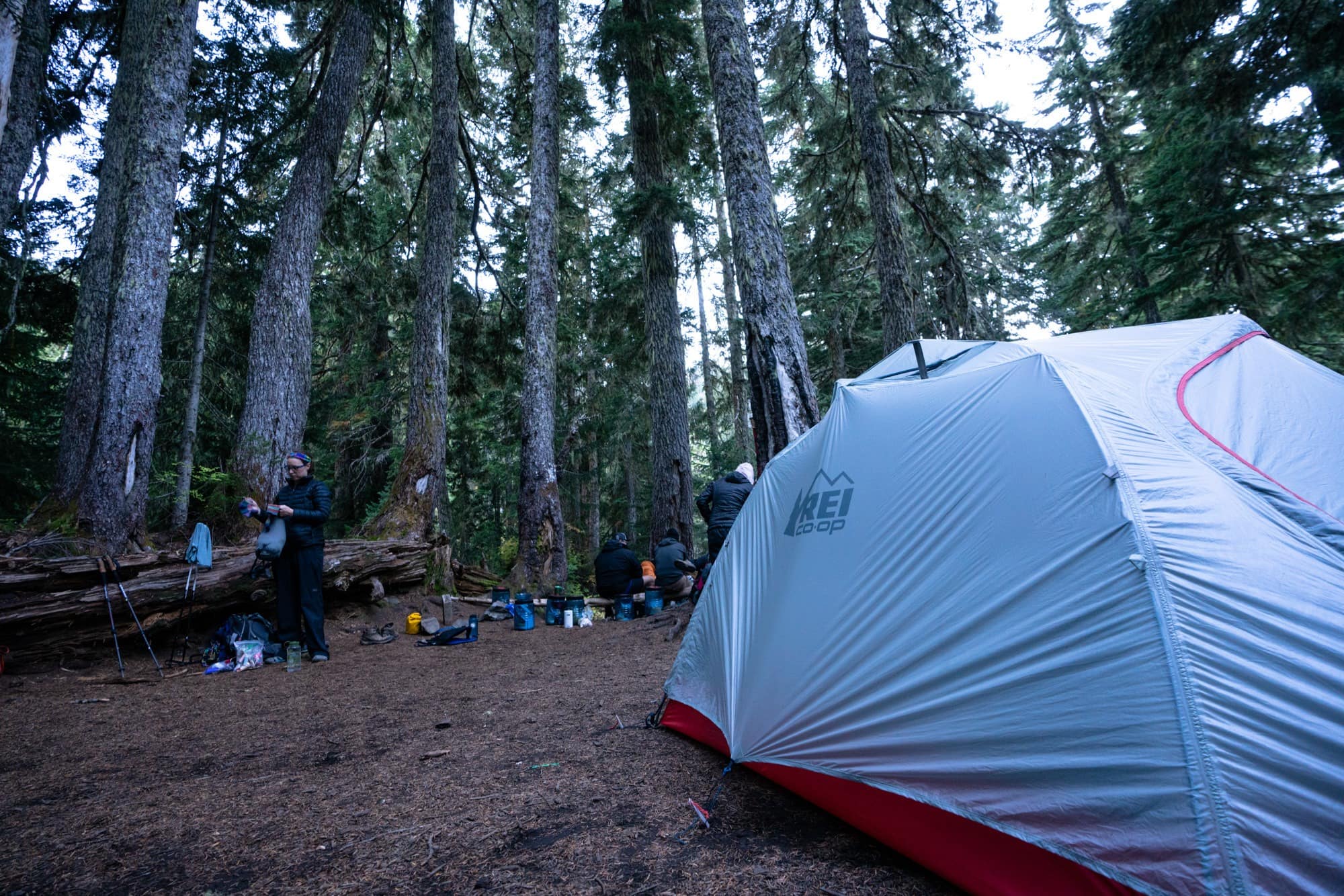 REI tent set up at campground surrounded by trees