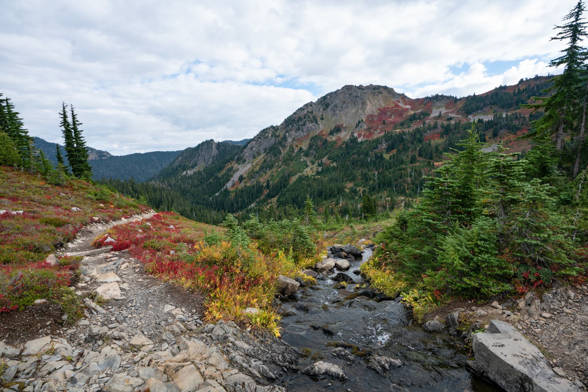 Alpine views with fall colors on the High Divide Trail in Washington