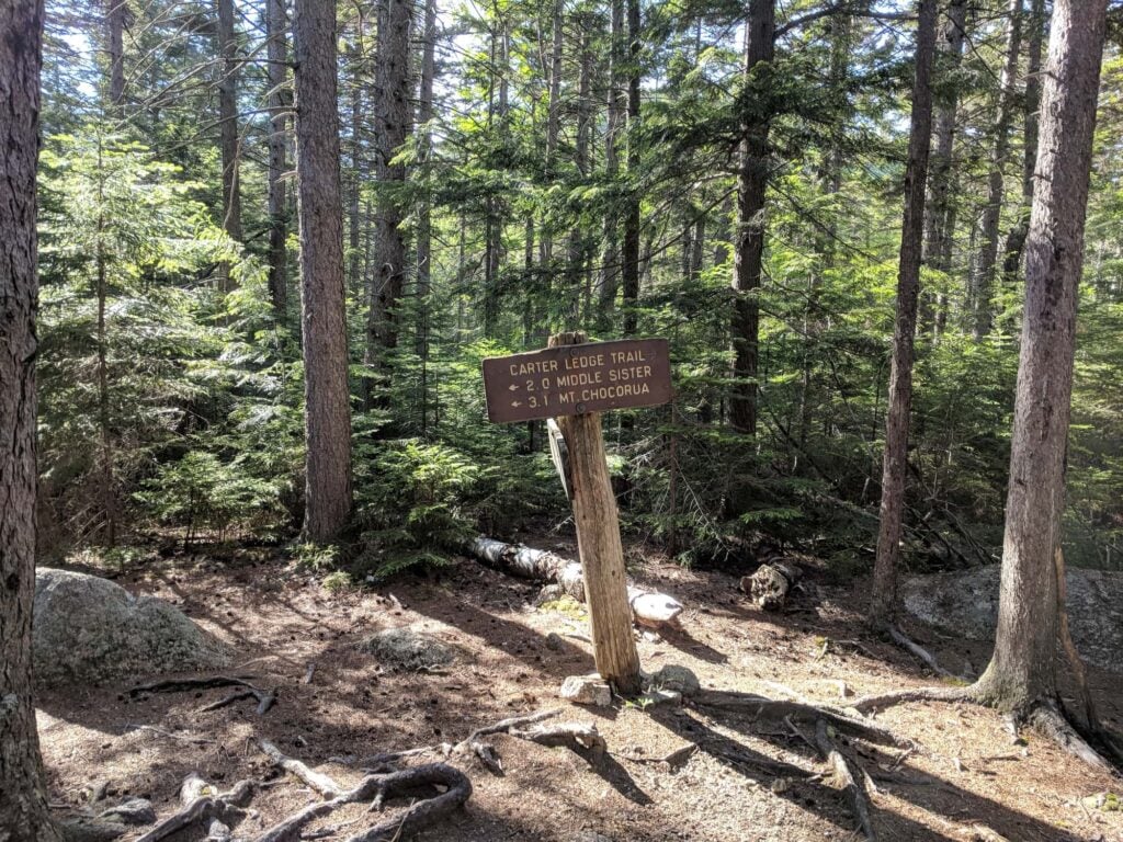 Trail sign for Nickerson Trail in the White Mountains of New Hampshire