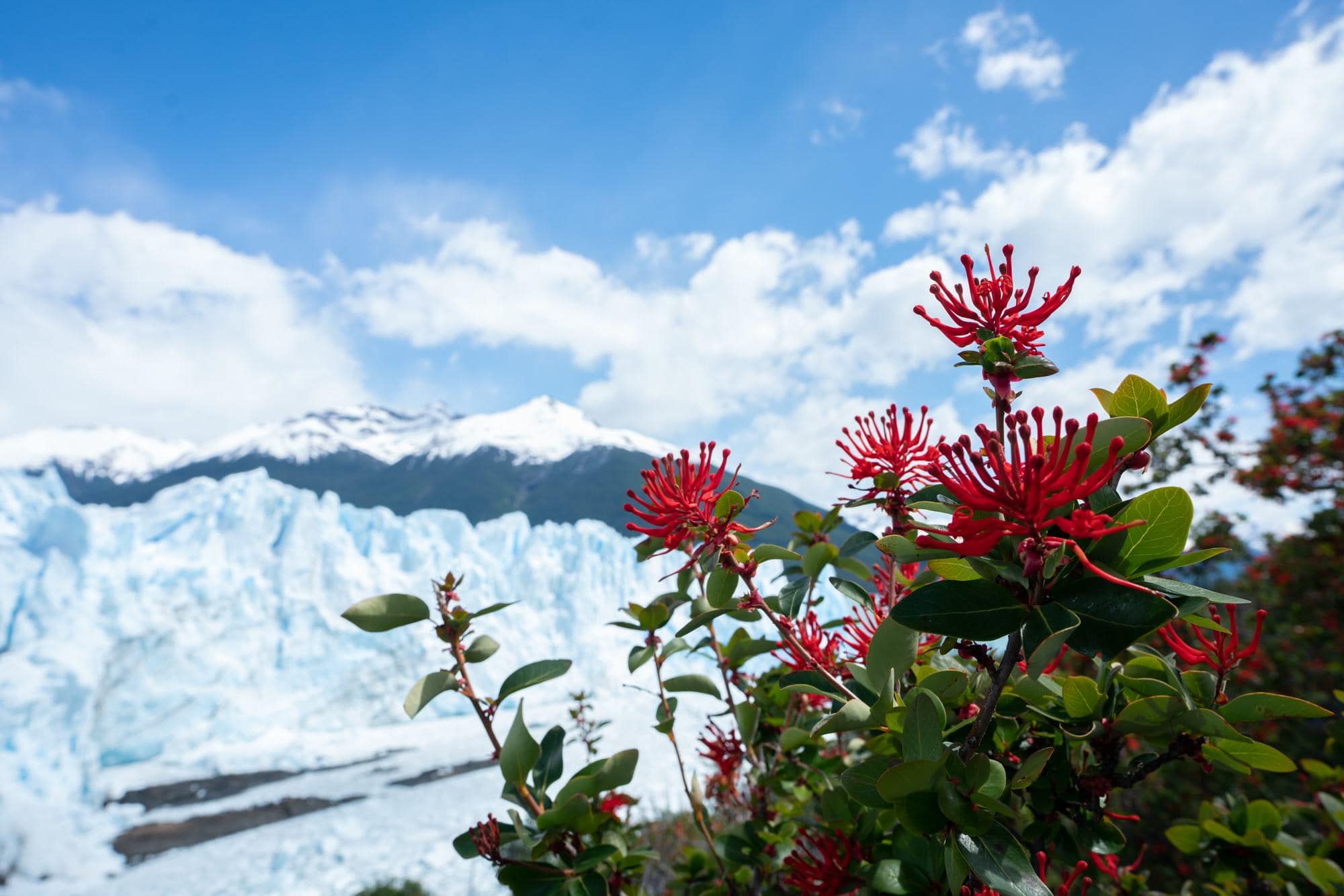 Exploring the Perito Moreno Glacier in Spring on a G Adventures tour