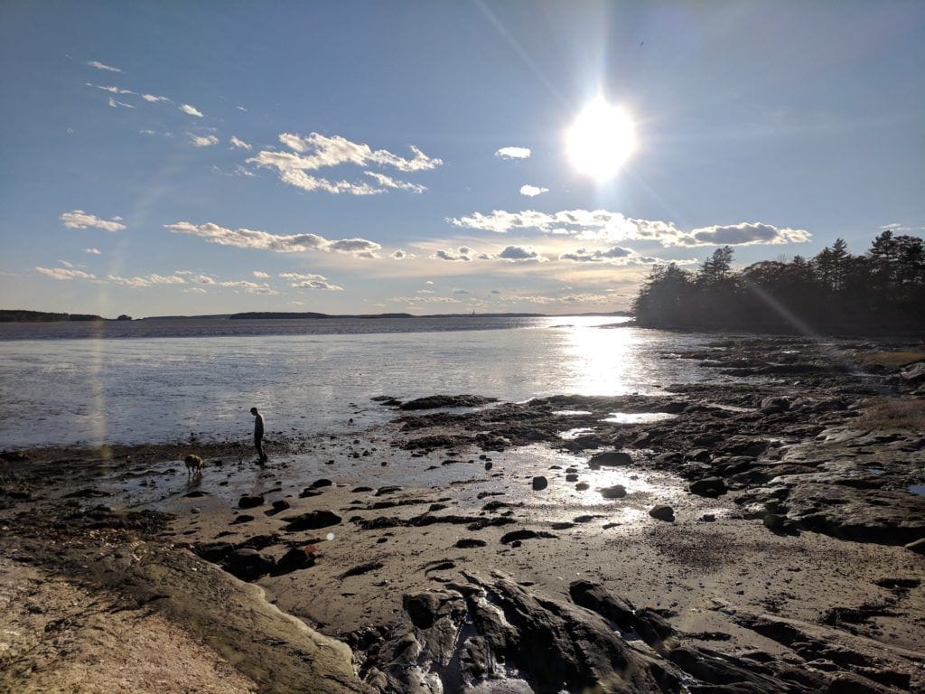 Learn everything you need to know about planning a camping trip to Wolfe’s Neck Oceanfront Campground near Freeport, Maine.