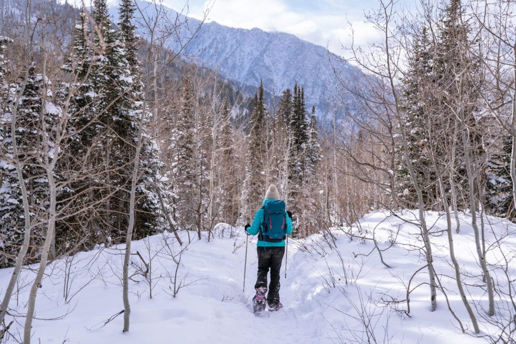 What you need to know to stay safe while hiking this winter - ABC7