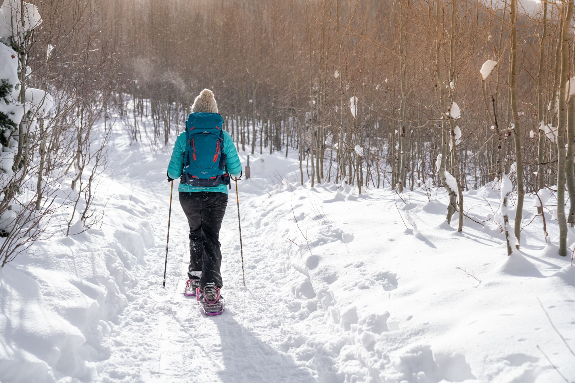 Learn how to snowshoe with our snowshoeing 101 guide. Get tips on how to find trails, what to wear, gear, important safety tips, and more.