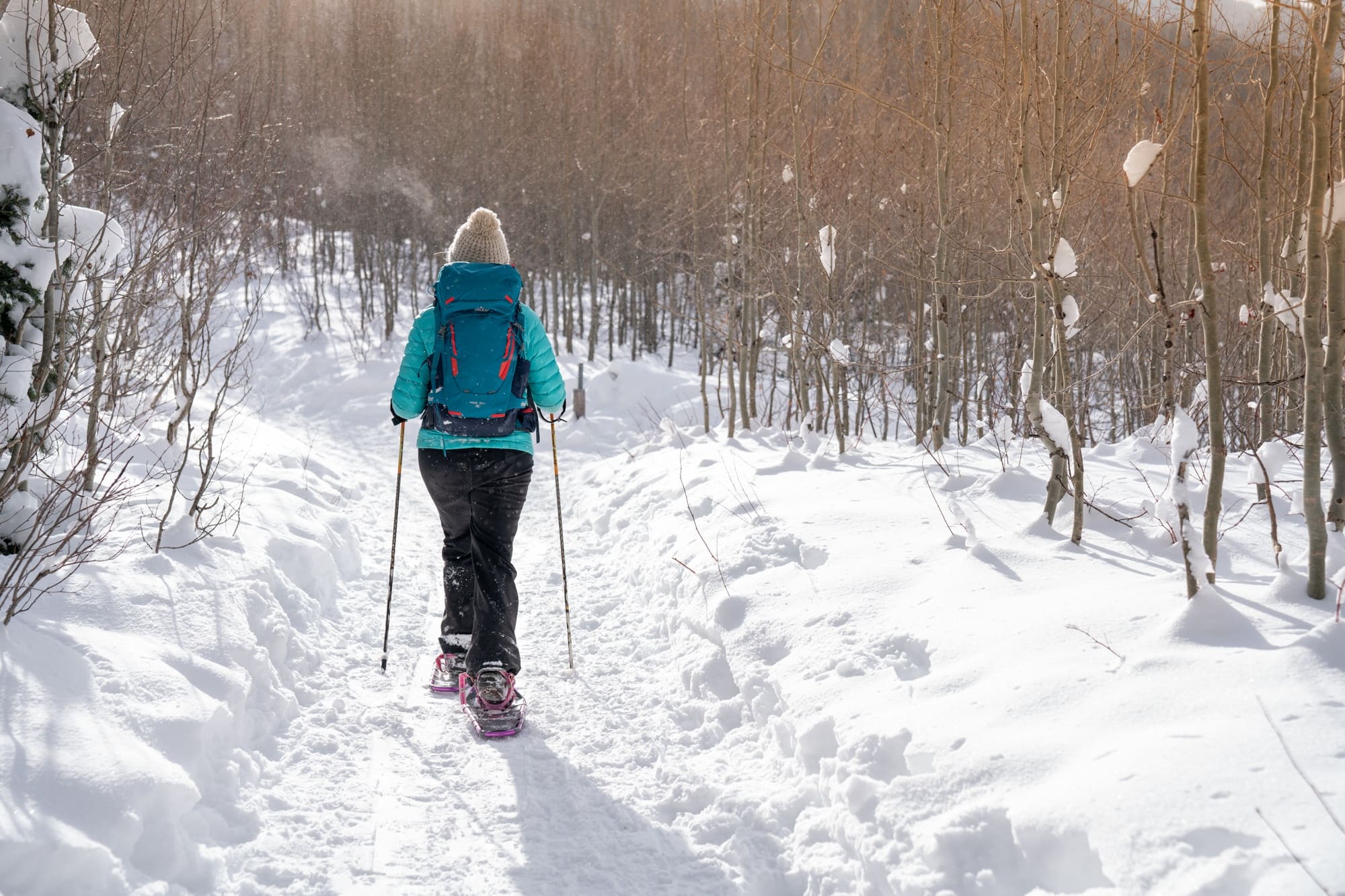 How to Snowshoe: Beginner Tips for Finding a Trail, Gear, & More – Bearfoot  Theory