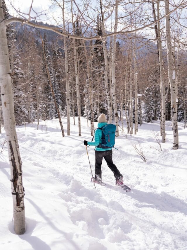 HOW TO SNOWSHOE TIPS FOR BEGINNERS STORY Bearfoot Theory