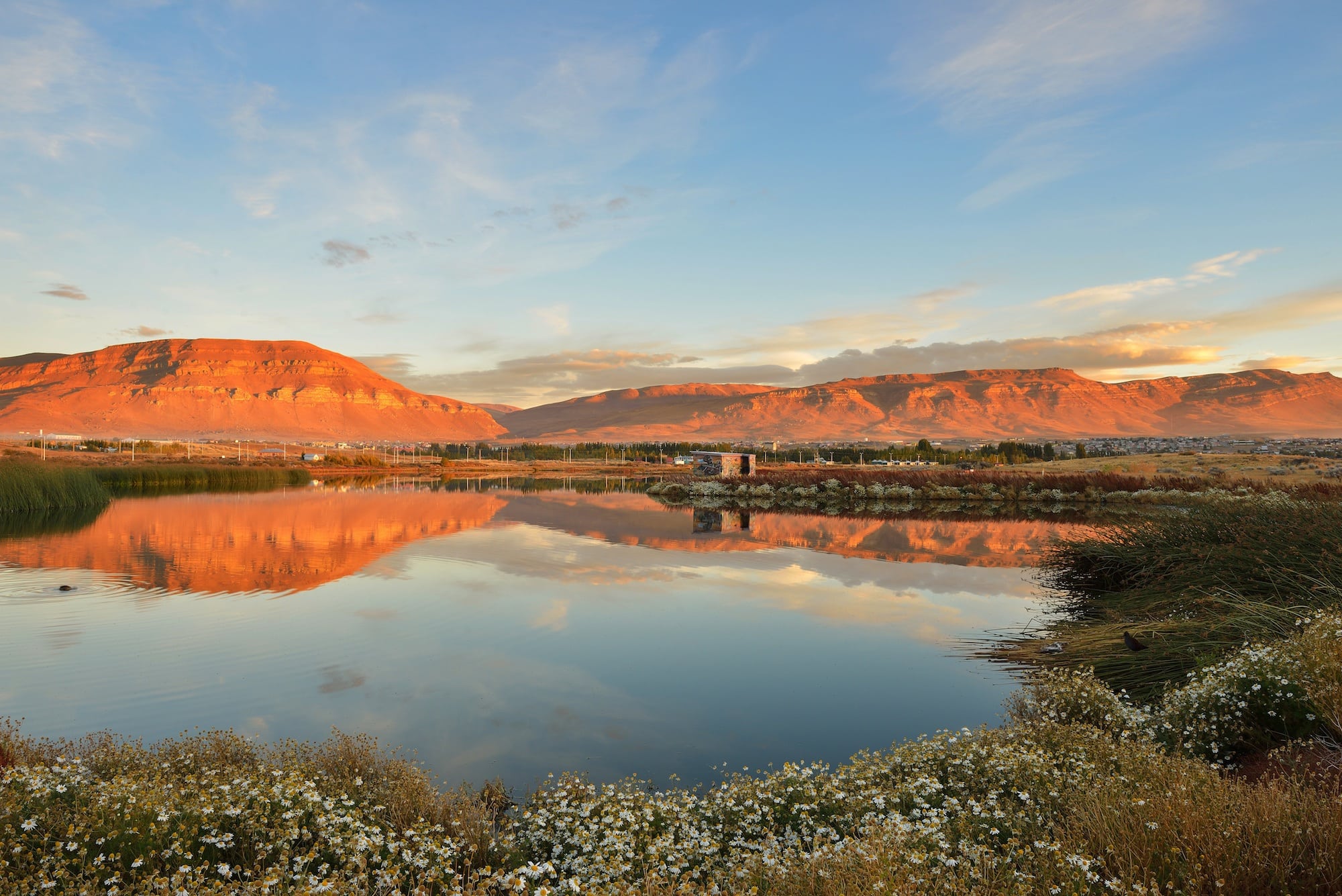 Laguna Nimez Nature Reserve in El Calafate