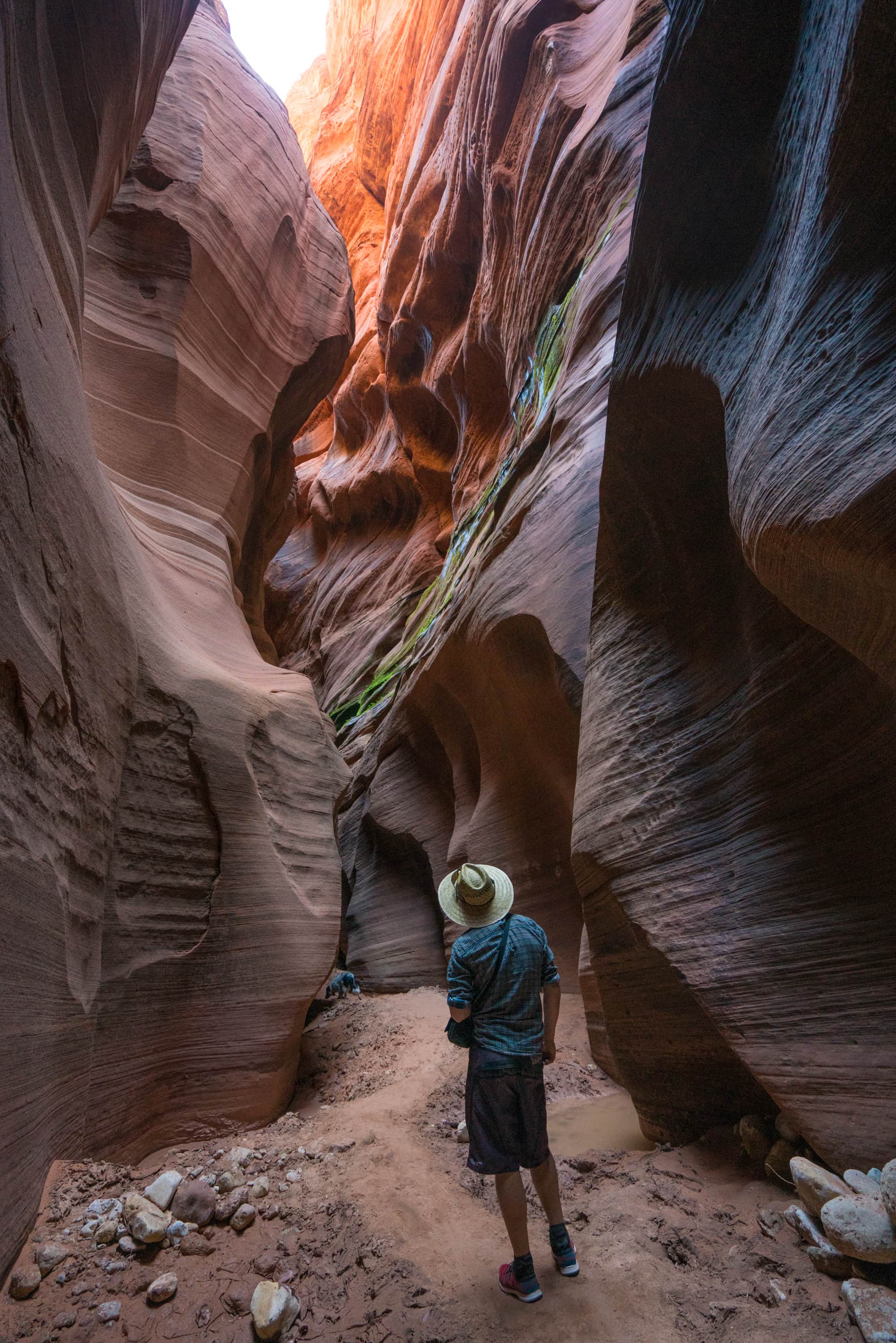 hiking tours in utah