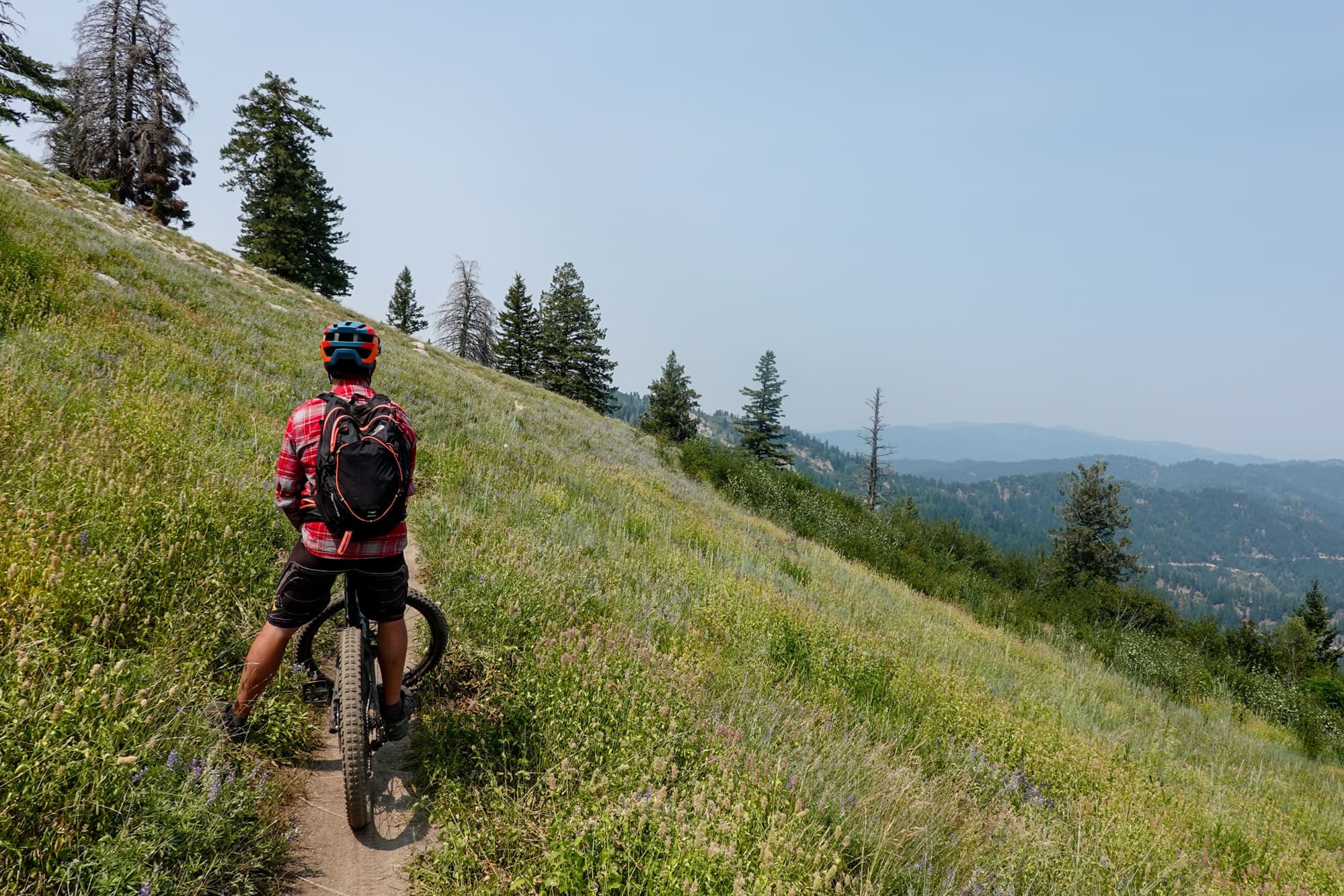 6 Reasons Why REI Members Have More Fun Bearfoot Theory