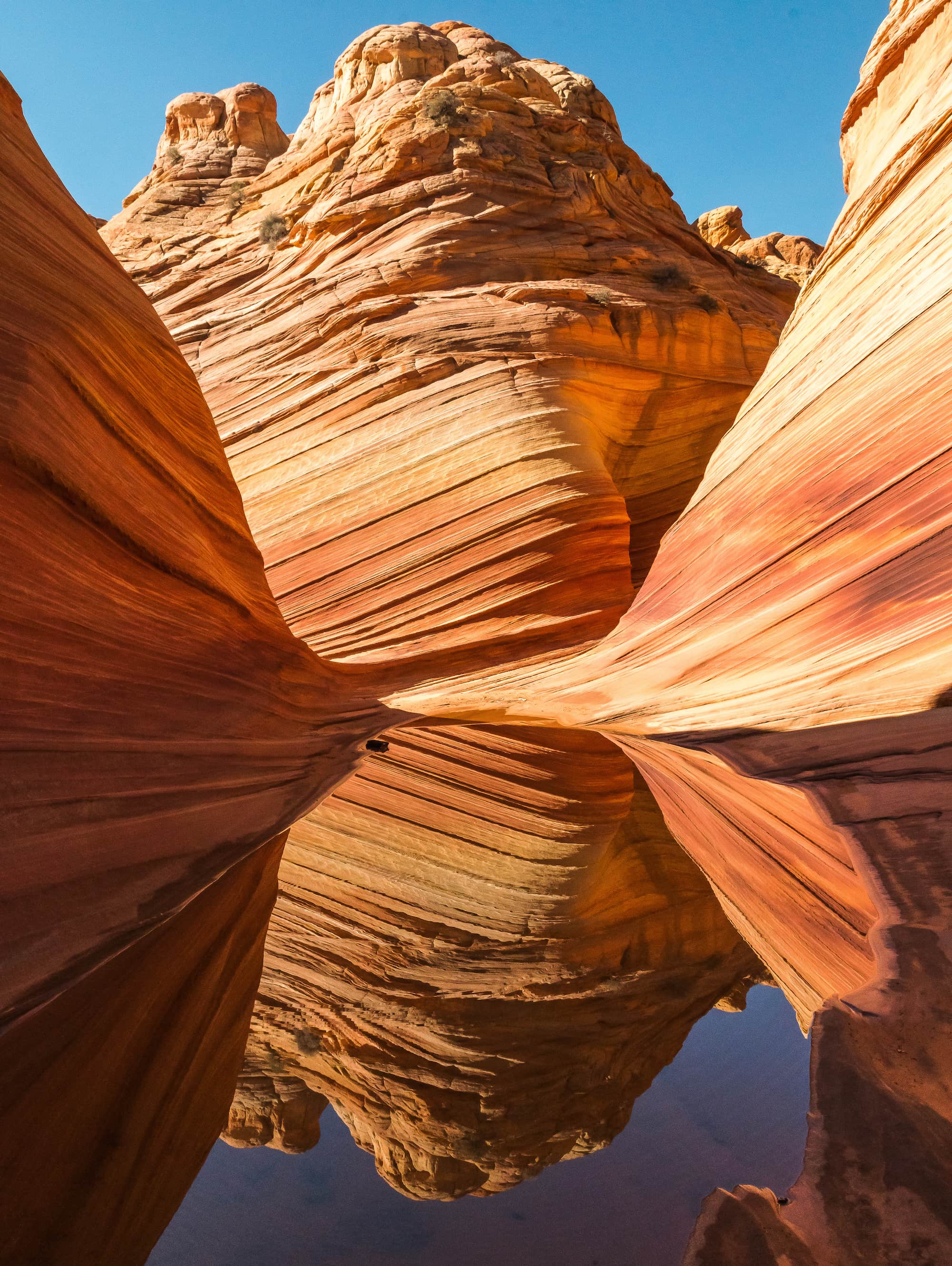 The Wave // A round-up of the best hikes in Utah. Explore Utah's epic landscapes and get tips for tackling these bucketlist trails. 