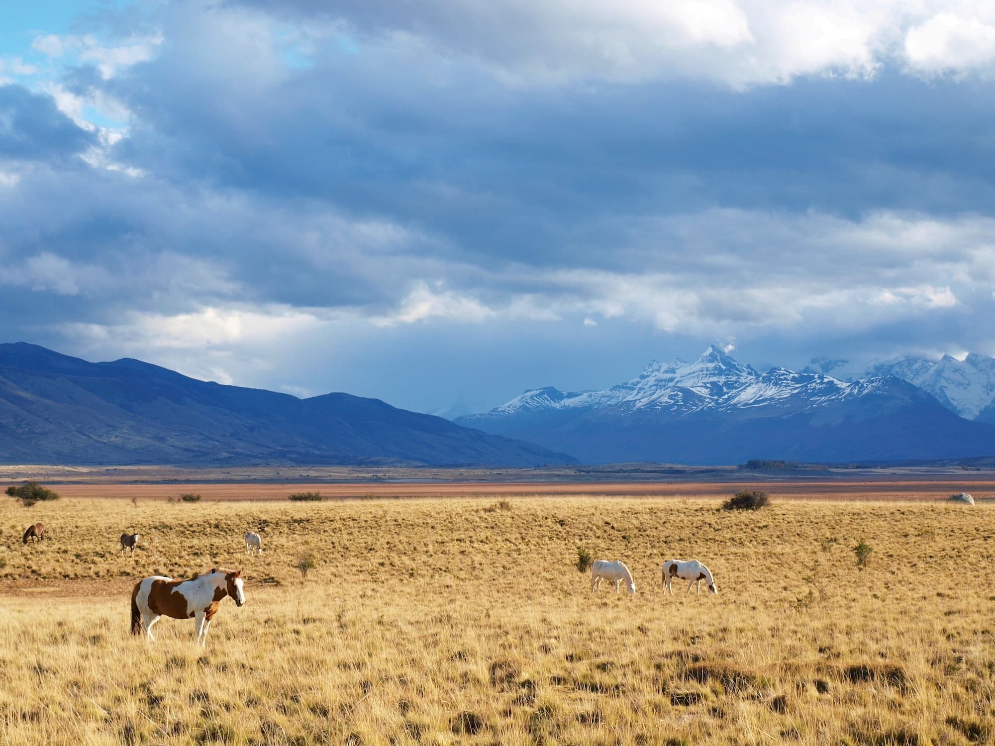 El Calafate, the glacier town of Patagonia - El Calafate