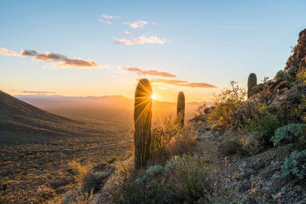 Sunset behind a saguaro cacti in Tucson