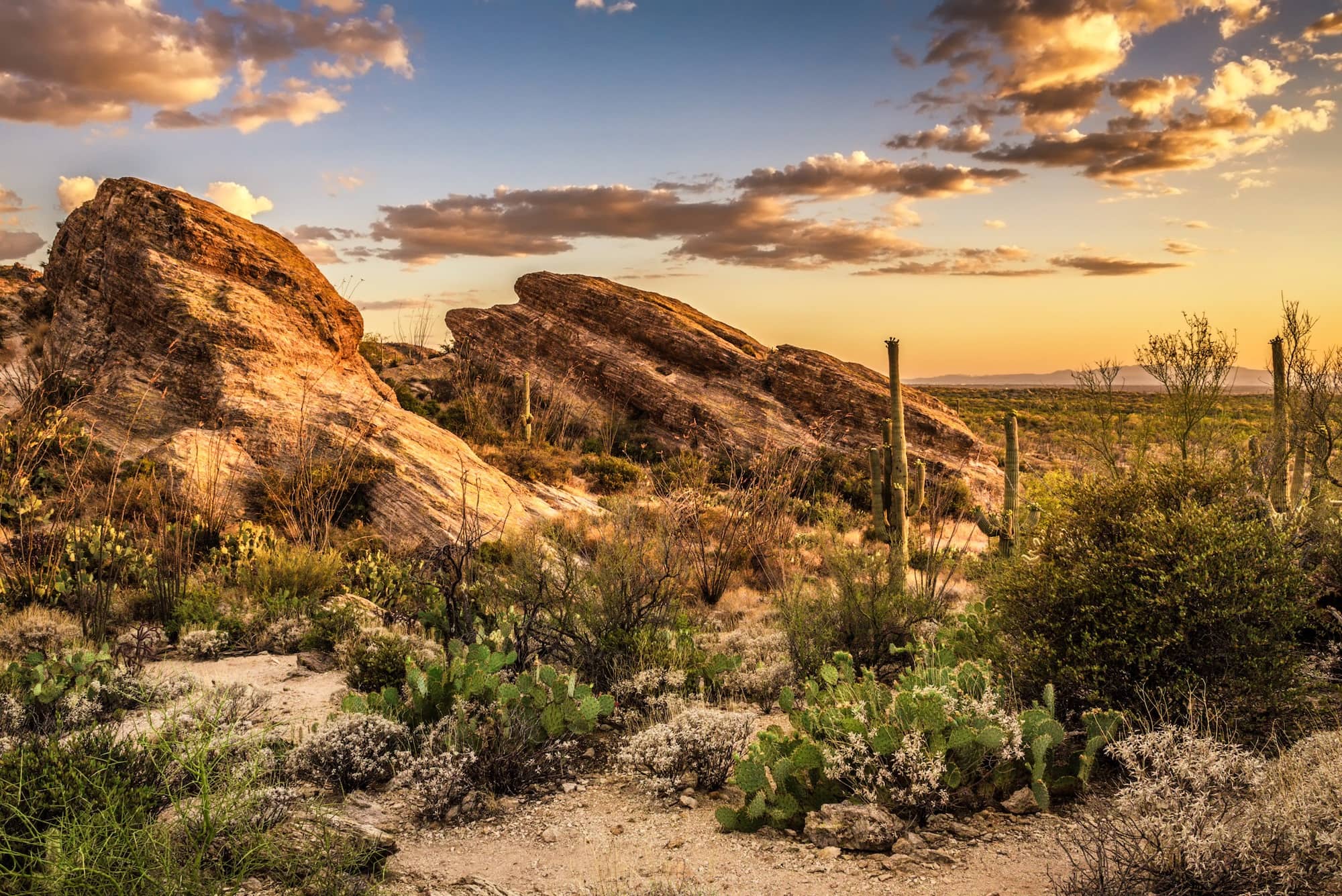 Esplora il lato est e ovest del Parco Nazionale di Saguaro con questa guida all'aperto che include cosa fare, le migliori escursioni, punti panoramici e altro ancora.