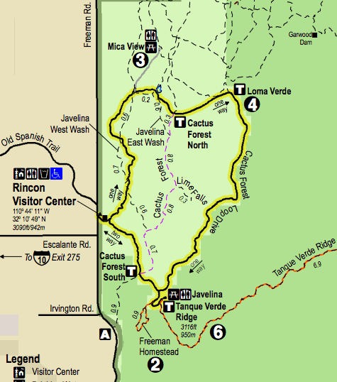 Mappa del Parco Nazionale di Saguaro / / Esplora il lato est e ovest del Parco Nazionale di Saguaro con questa guida all'aperto che include cosa fare, le migliori escursioni, punti panoramici e altro ancora.