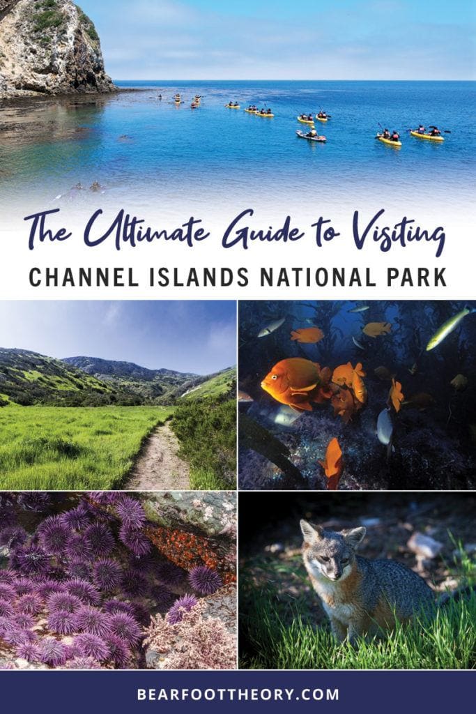 Get the scoop on camping, hiking, marine life & outdoor adventure in this outdoor enthusiasts guide to the five islands of Channel Islands National Park.