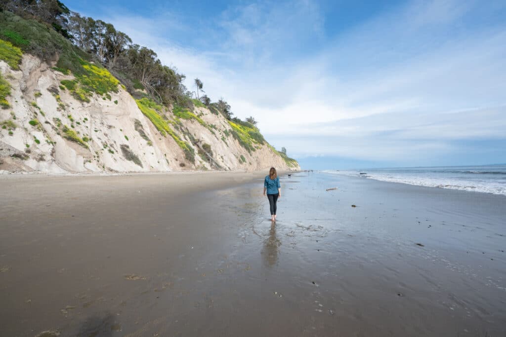 Woman walking down sandy beach at low tide with sand dunes topped with vegetation on her left