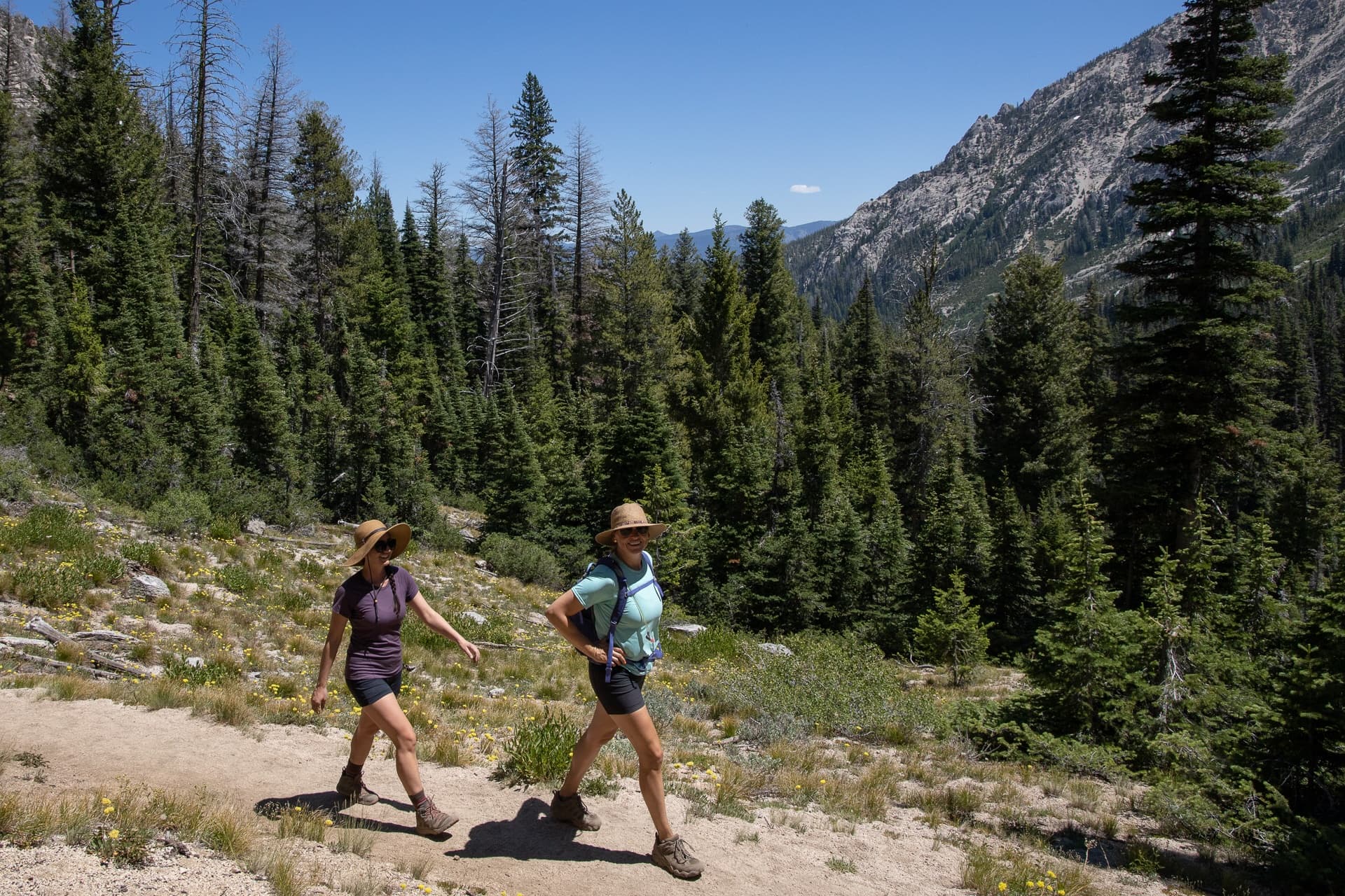 Kristen and Linda hiking among pine trees