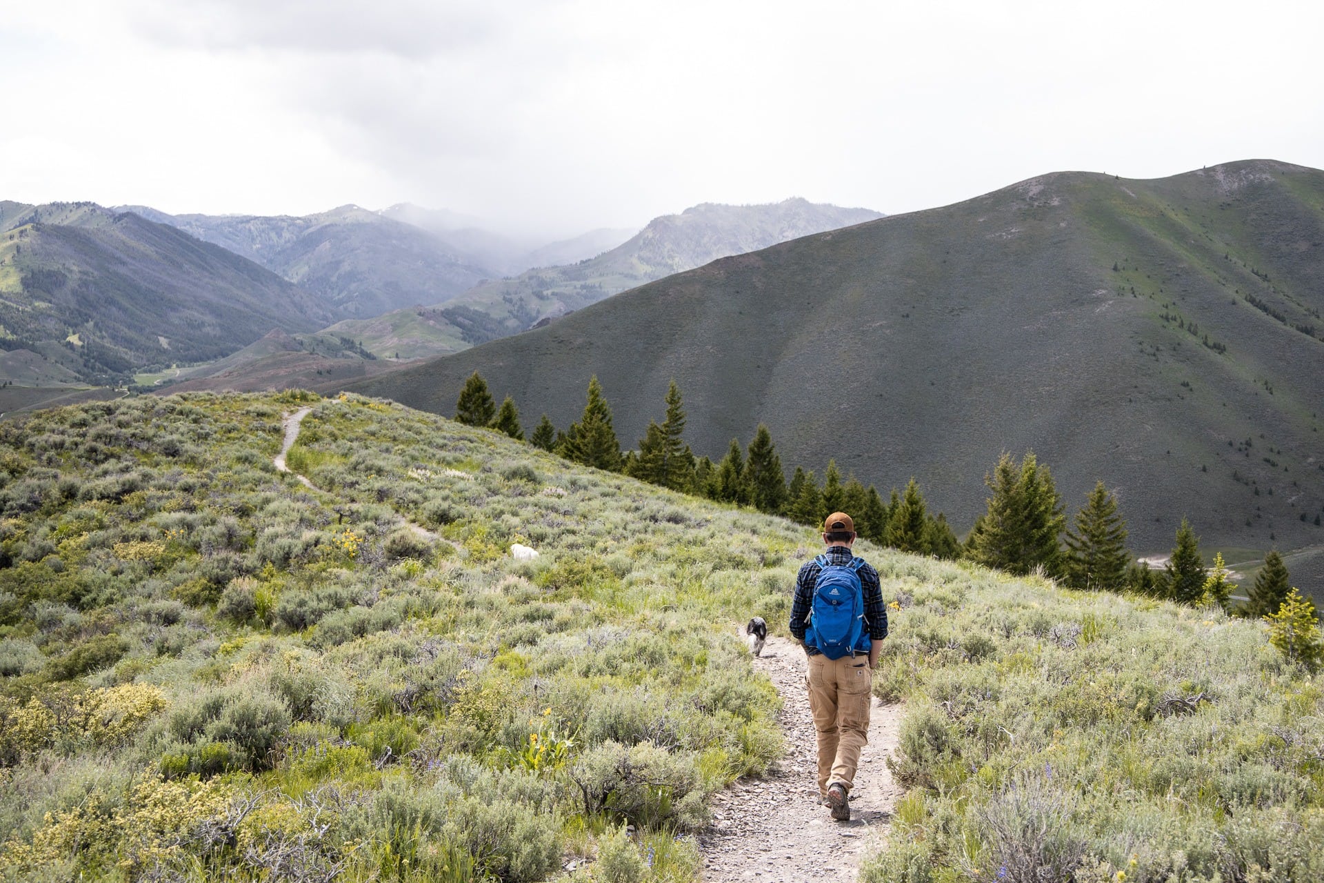 Ryan and Charlie hiking a trail with greenery and mountains in the distance