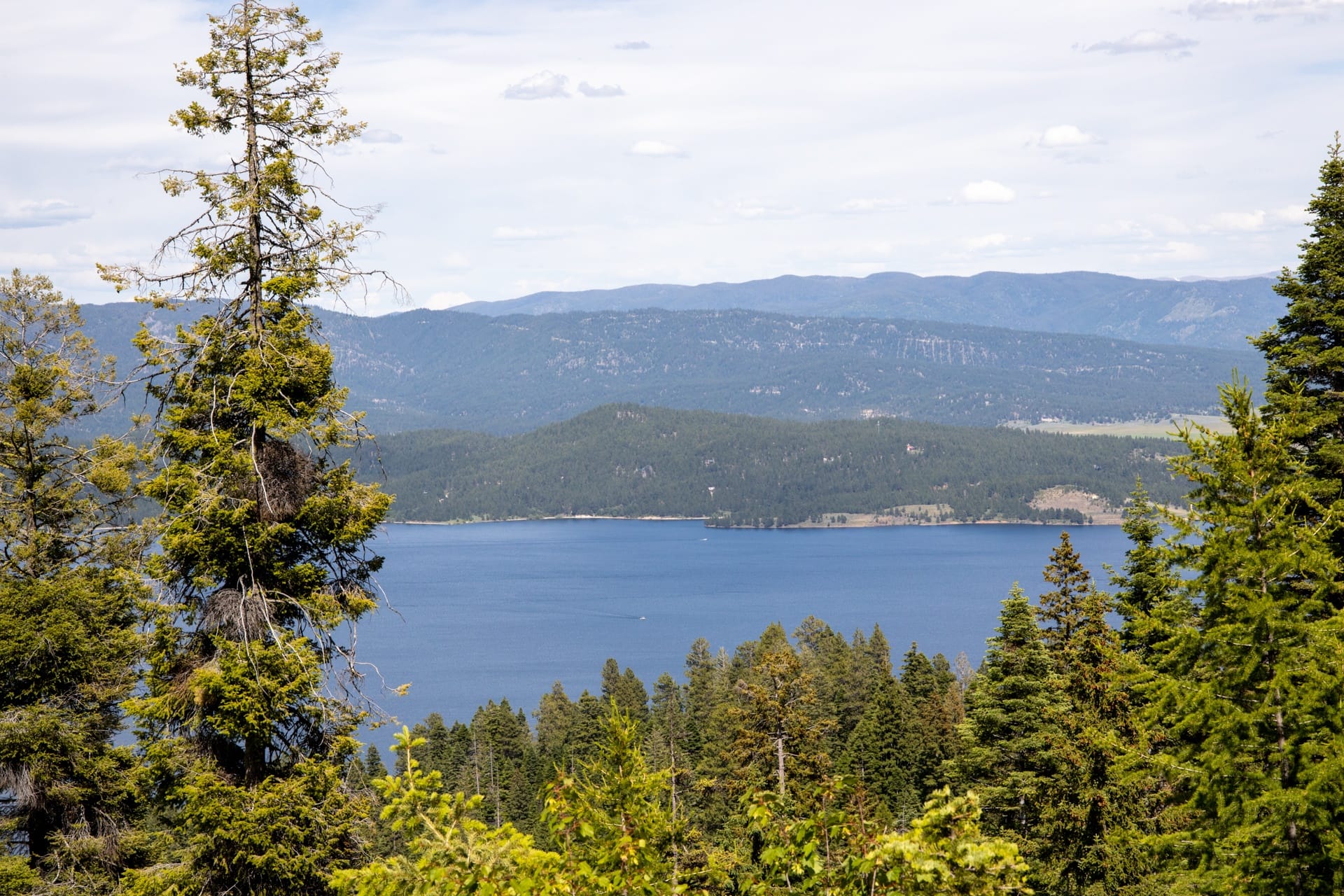 Lake Cascade from West Mountain in Idaho