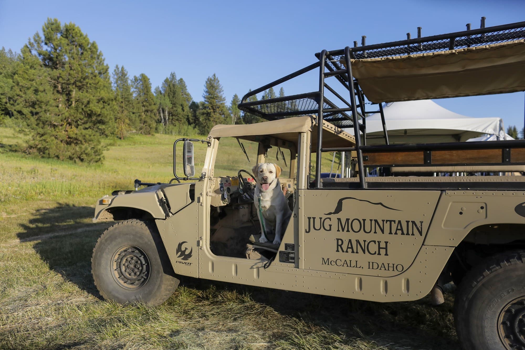 Dog sitting in a mountain bike shuttle at Jug Mountain Ranch during Open Roads van life festival